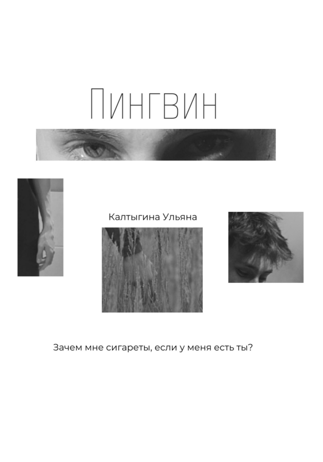 Обложка книги «Пингвин»