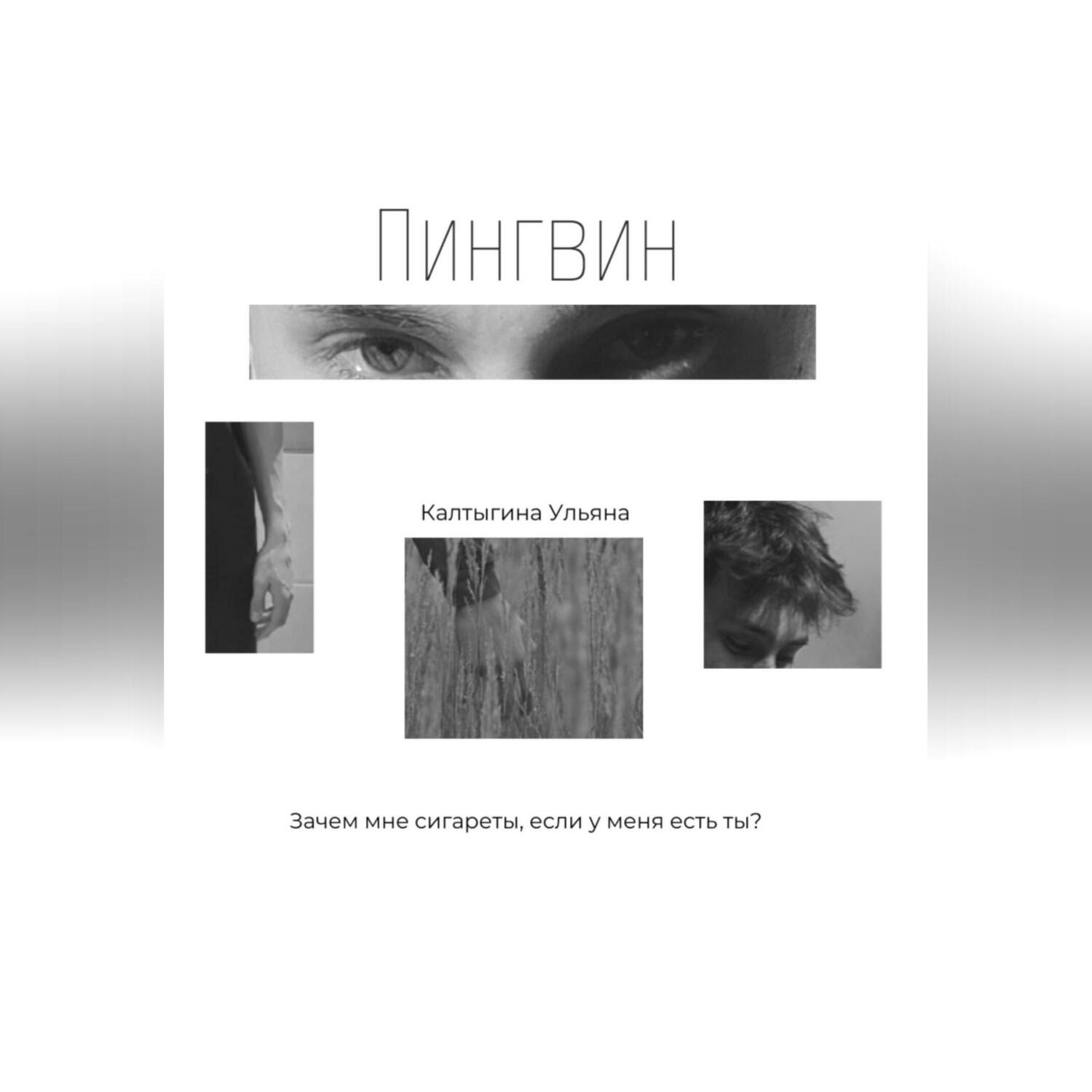 Обложка книги «Пингвин»