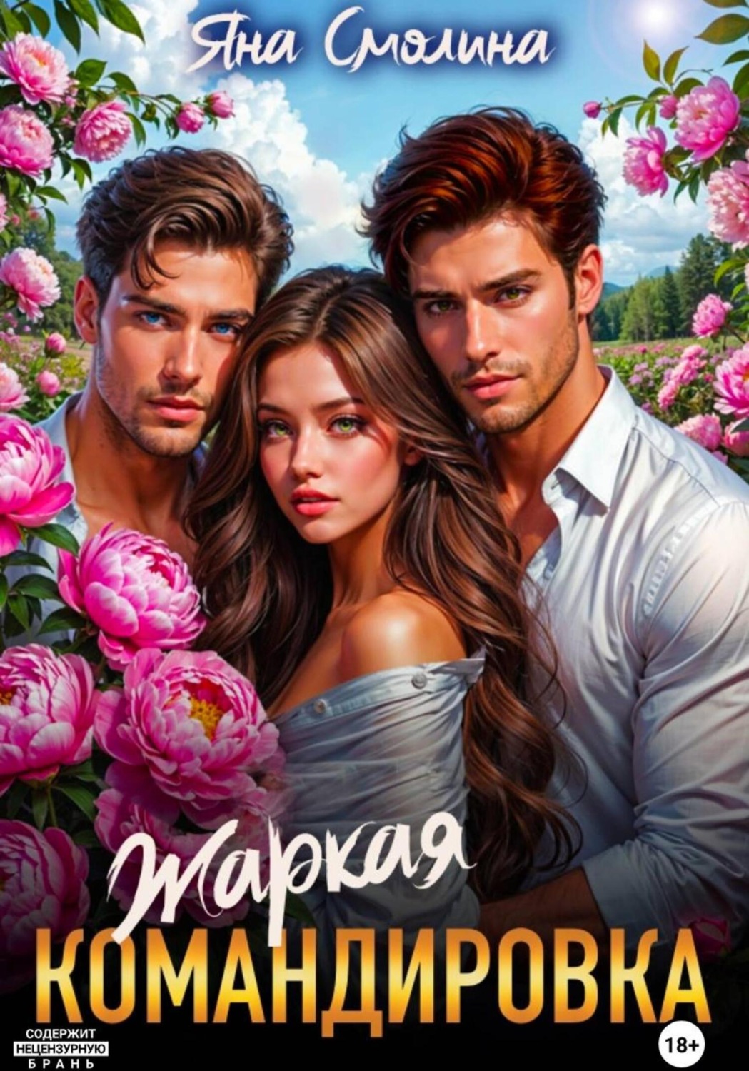 Обложка книги «Жаркая командировка»