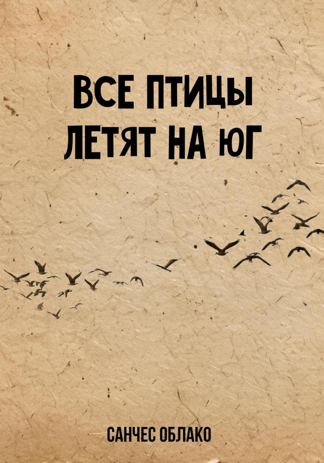 Обложка книги «Все птицы летят на Юг»
