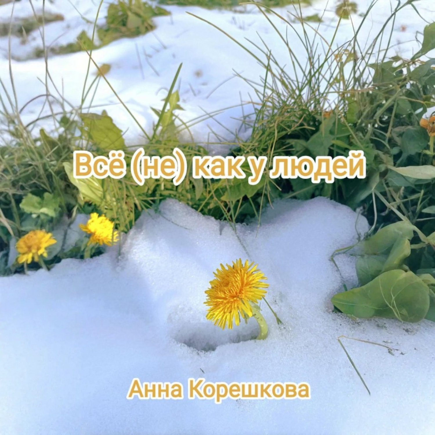 Обложка книги «Всё (не) как у людей»