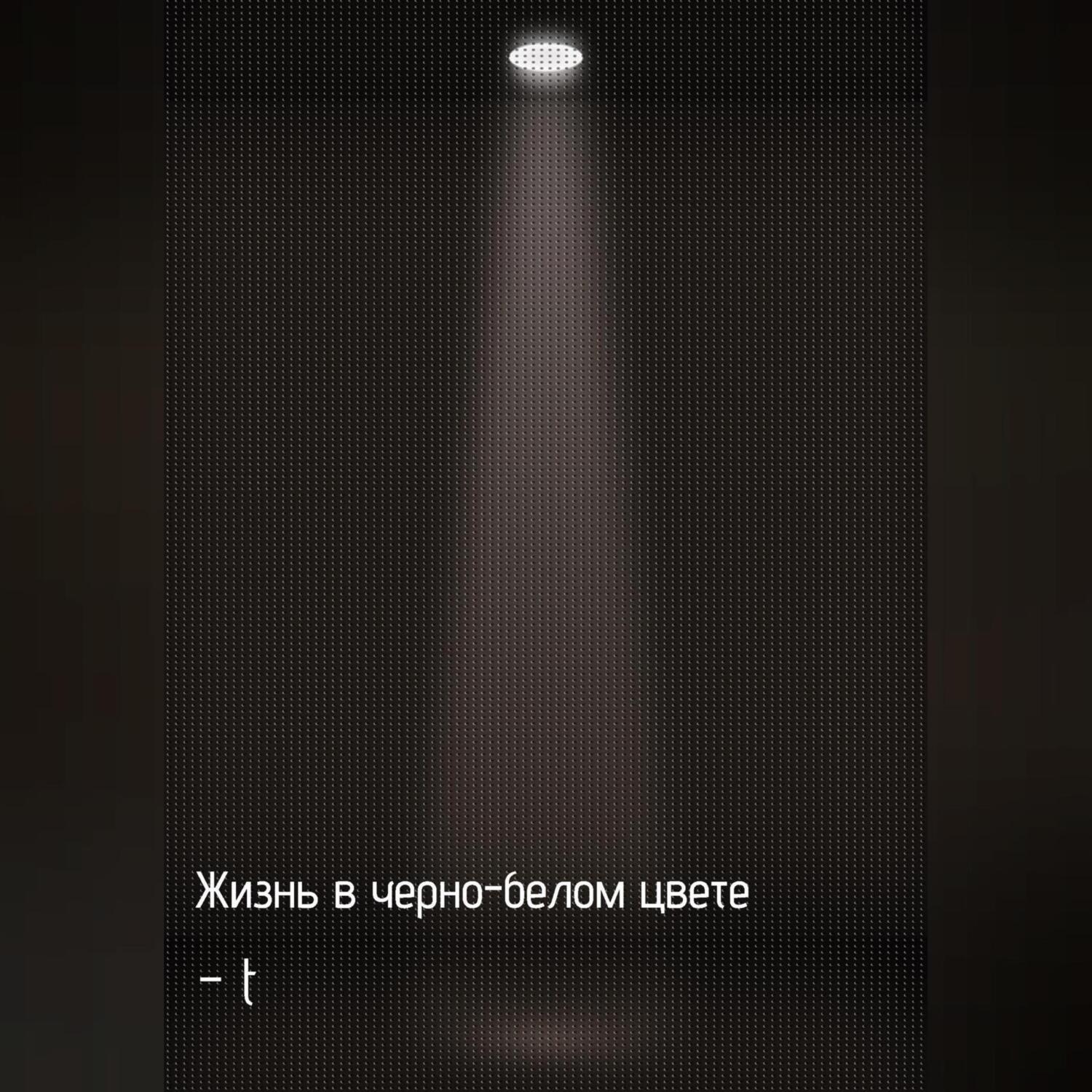 Обложка книги «Жизнь в черно-белом цвете»