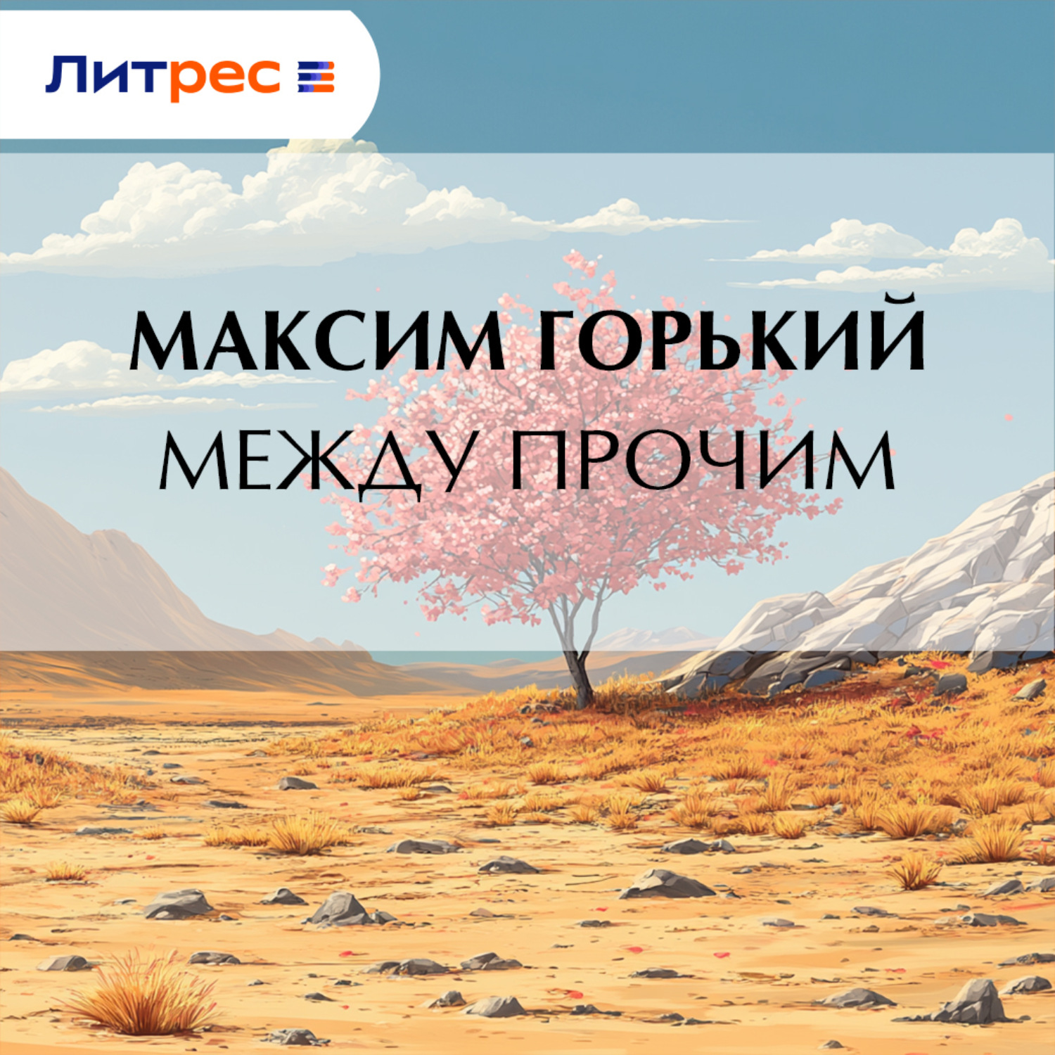 Обложка книги «Между прочим»