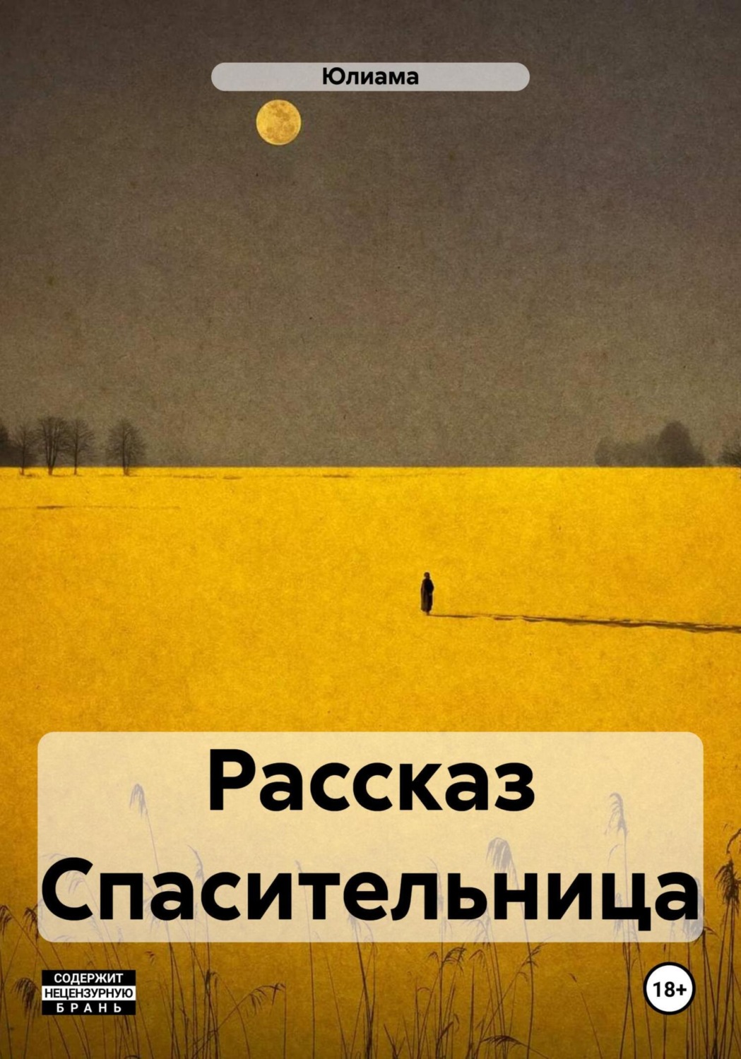 Обложка книги «Рассказ Спасительница»