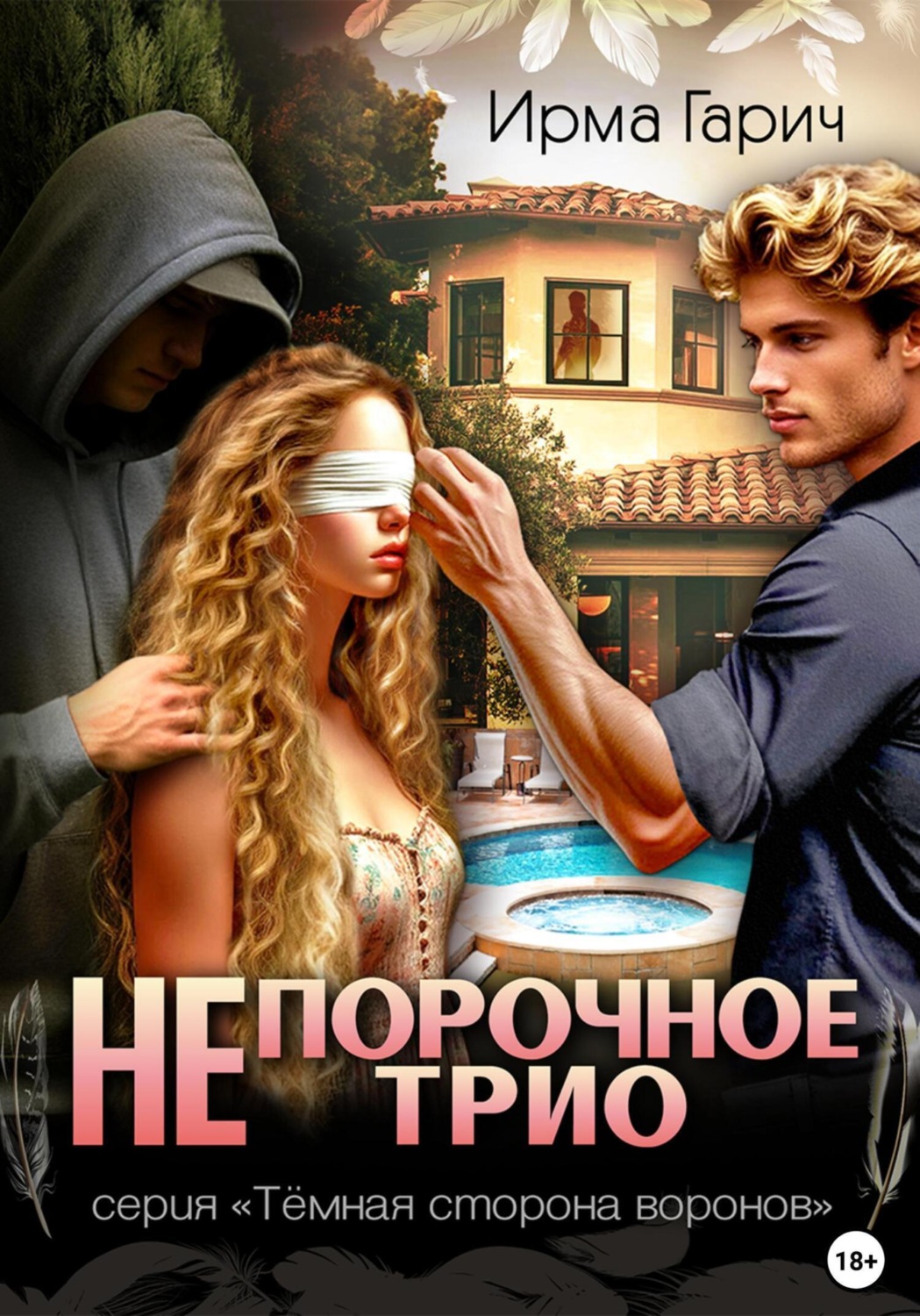Обложка книги «НЕпорочное трио»