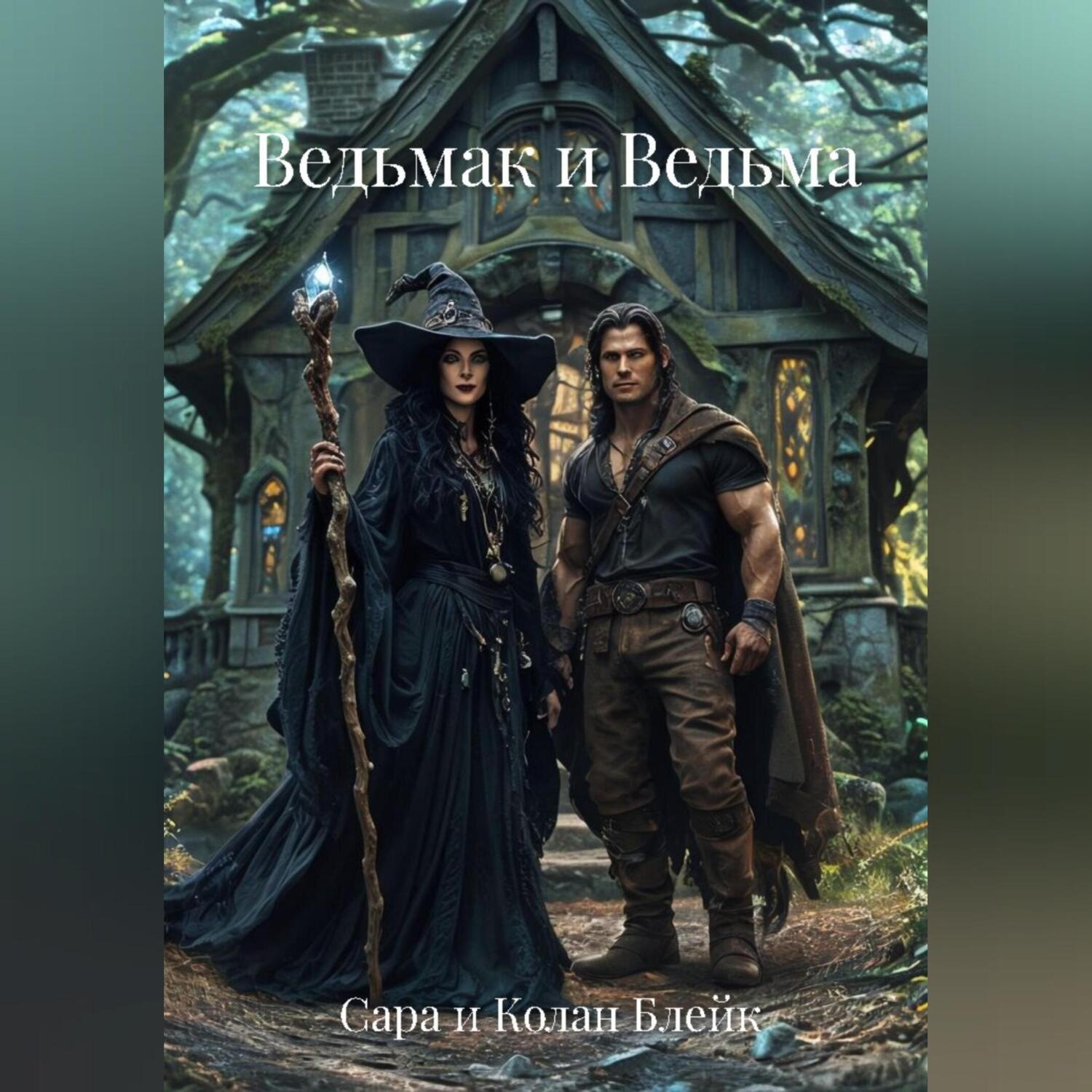 Обложка книги «Ведьмак и Ведьма»
