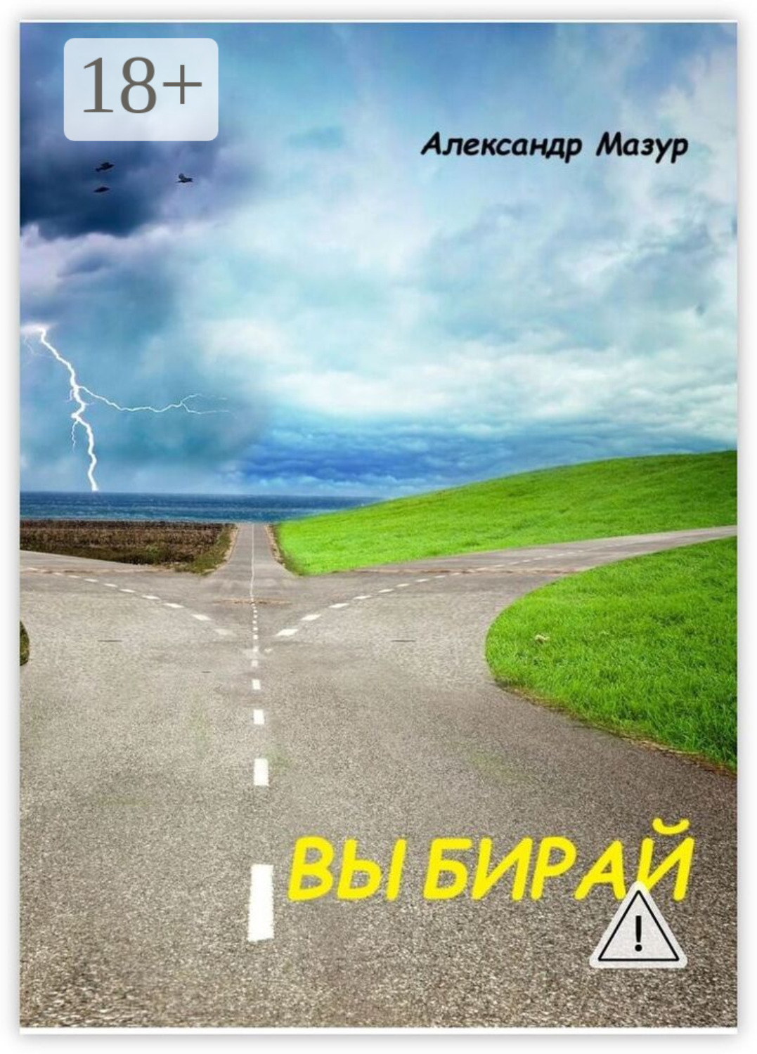Обложка книги «Выбирай»