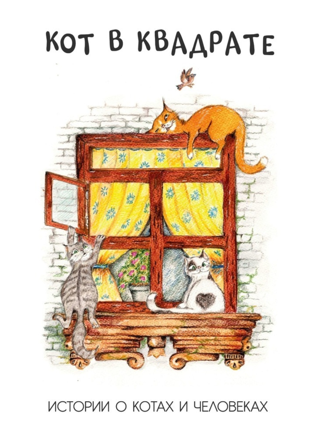 Обложка книги «Кот в квадрате. Истории о котах и человеках»