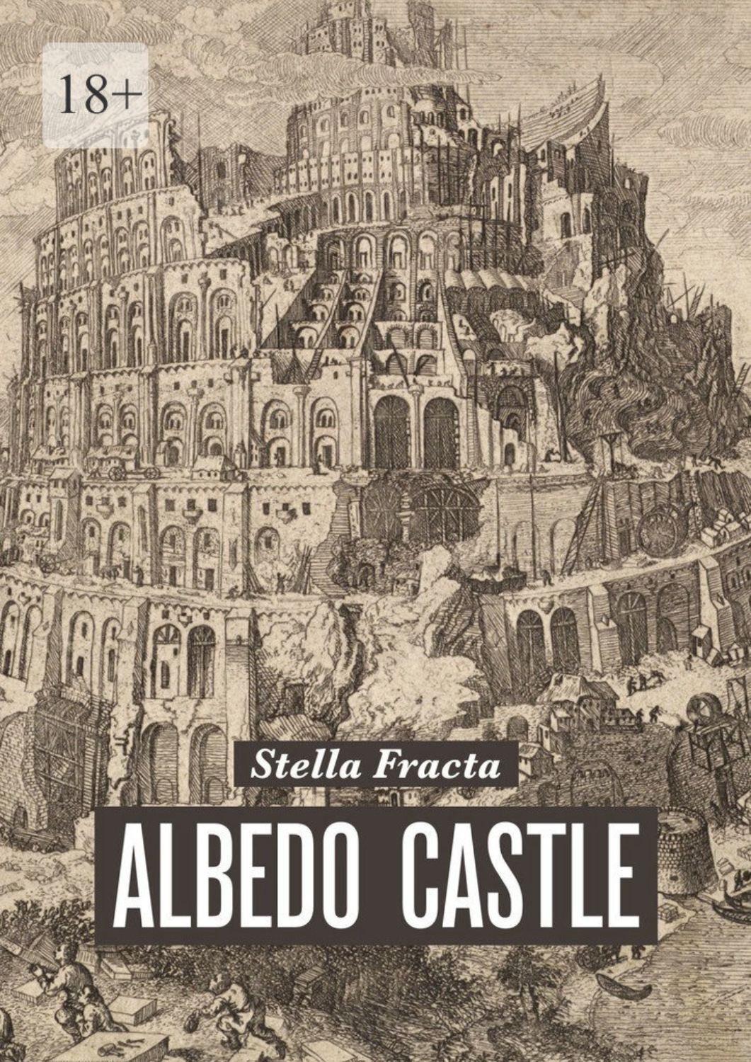 Обложка книги «Albedo Castle»