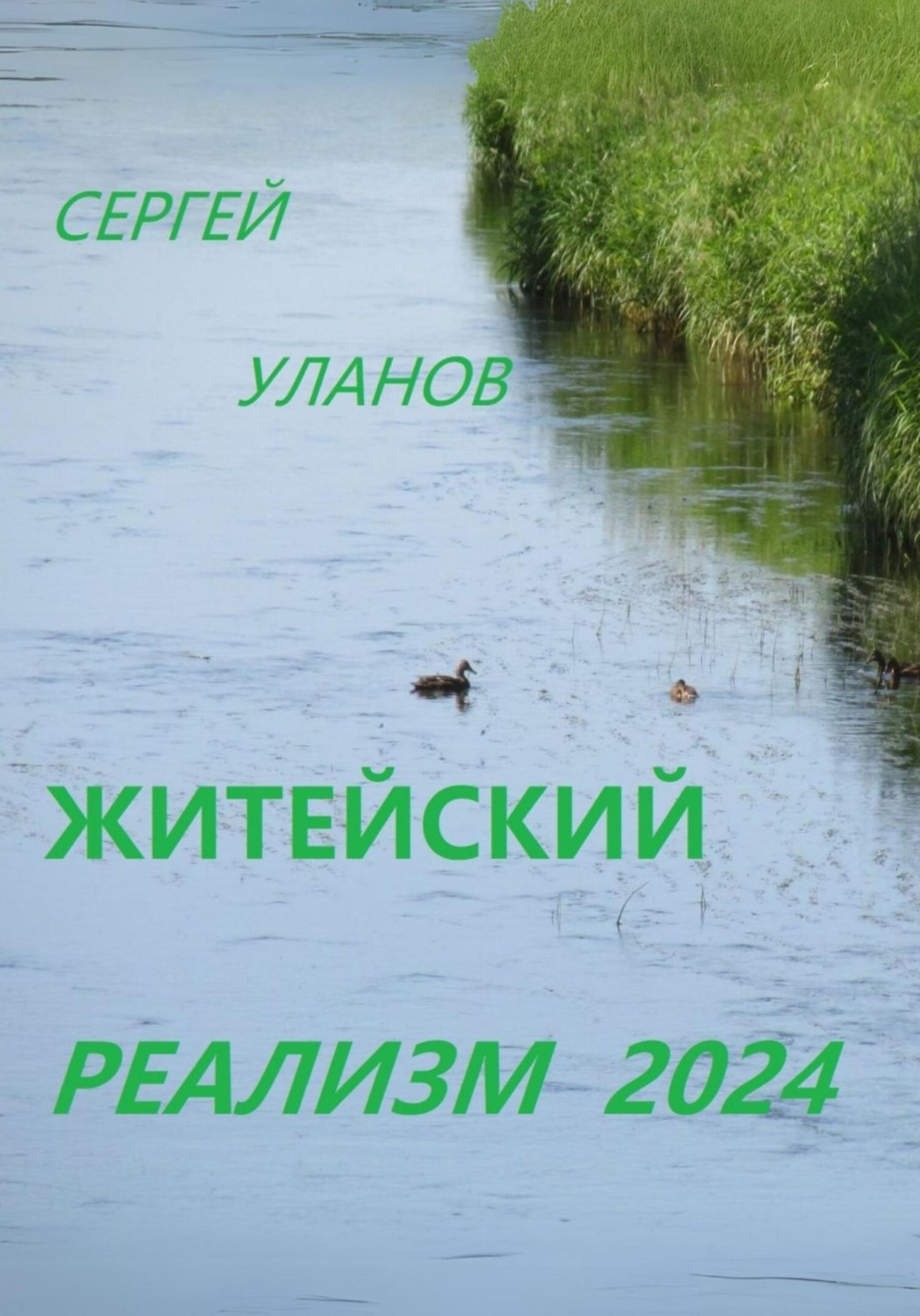 Обложка книги «Житейский реализм 2024»