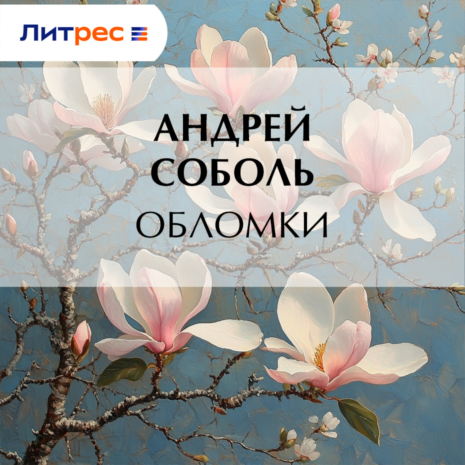 Обложка книги «Обломки»