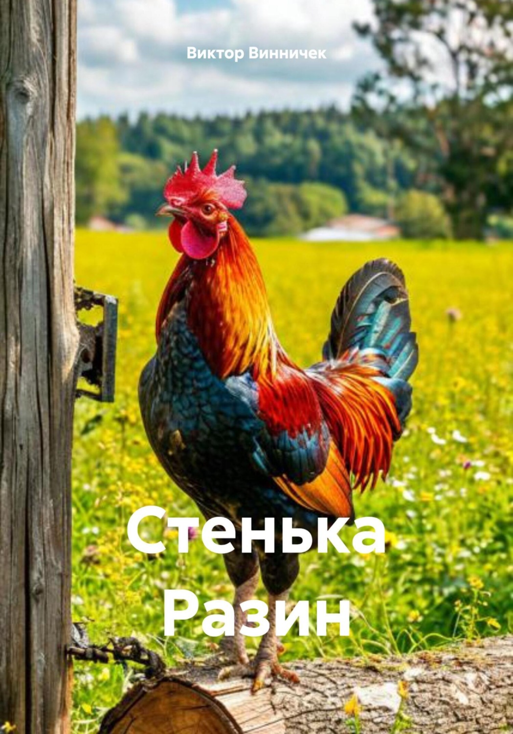 Обложка книги «Стенька Разин»