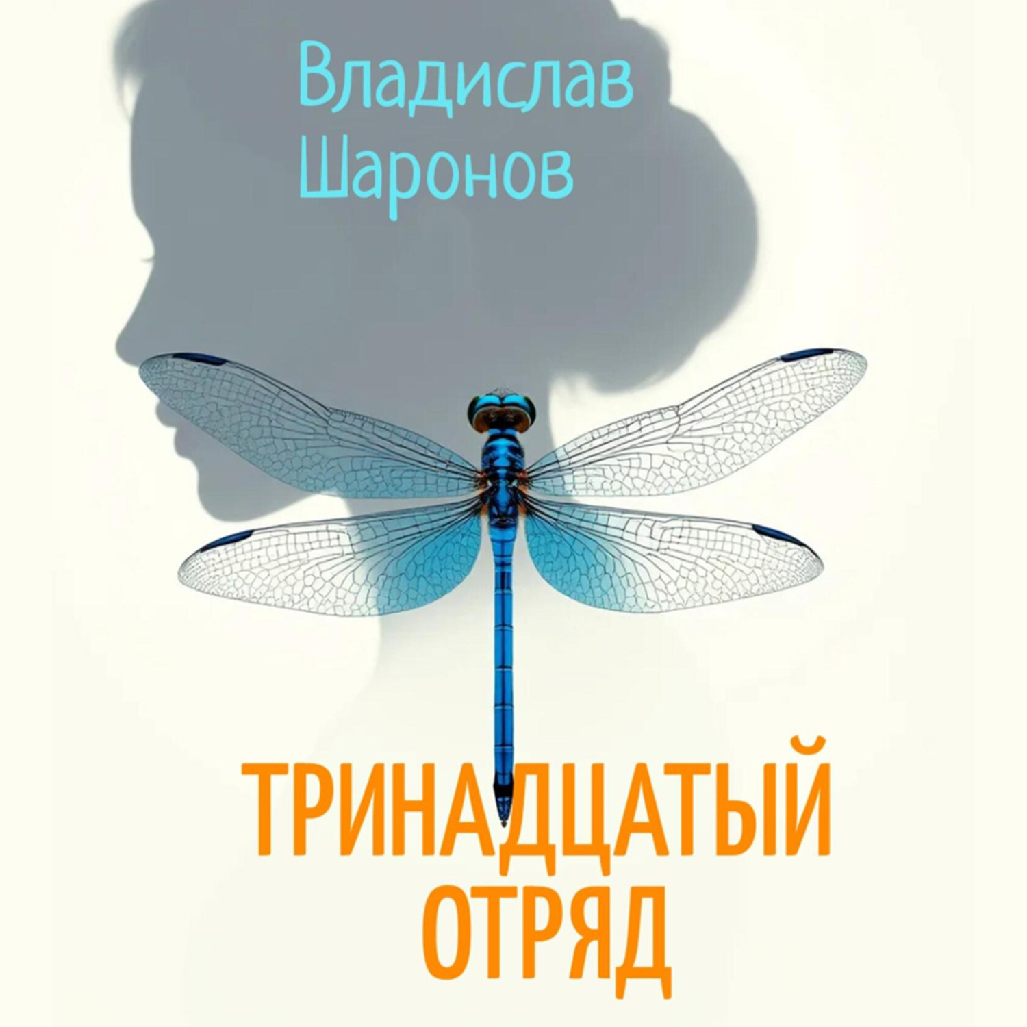 Обложка книги «Тринадцатый отряд»