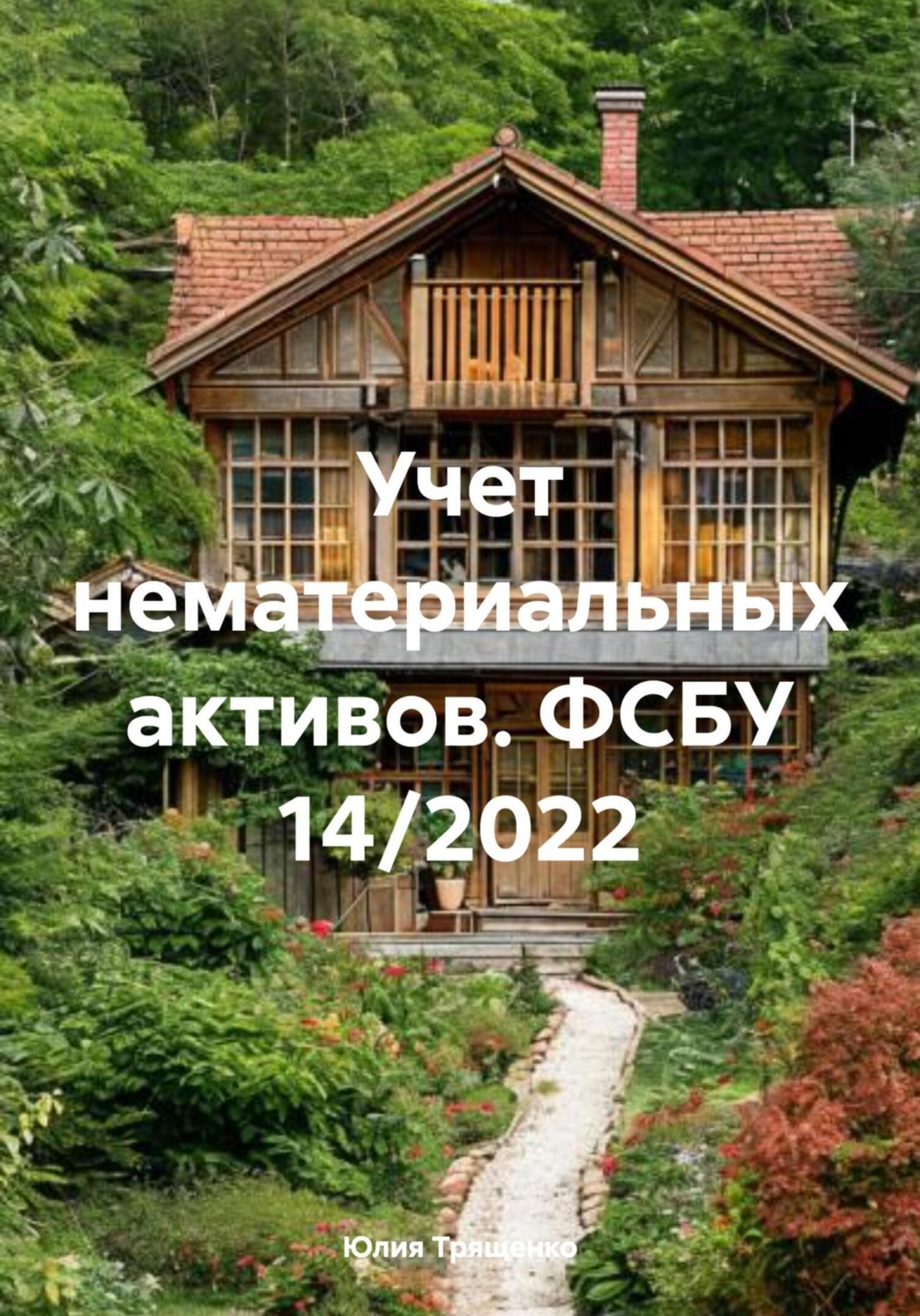 Обложка книги «Учет нематериальных активов. ФСБУ 14/2022»