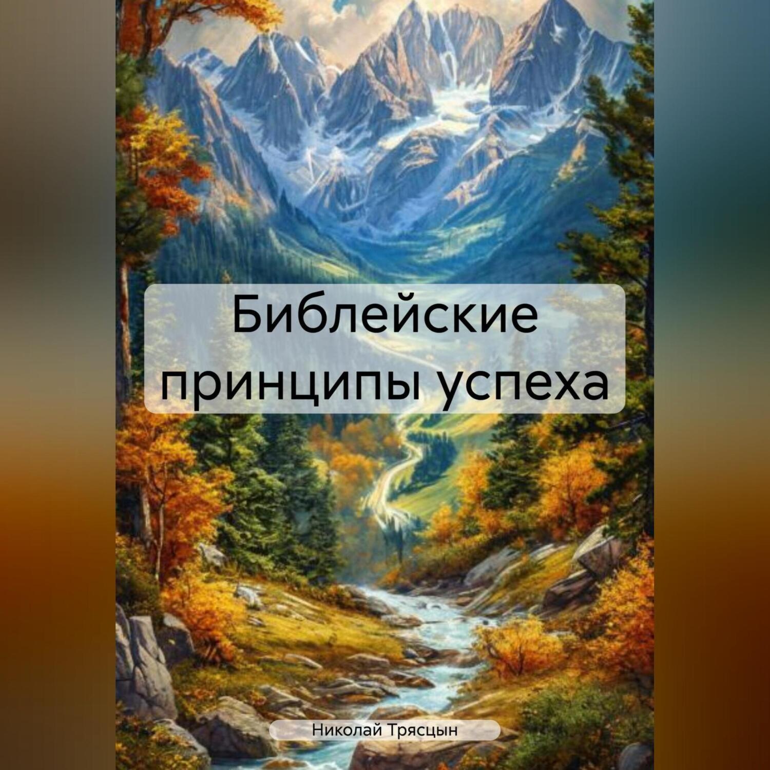Обложка книги «Библейские принципы успеха»