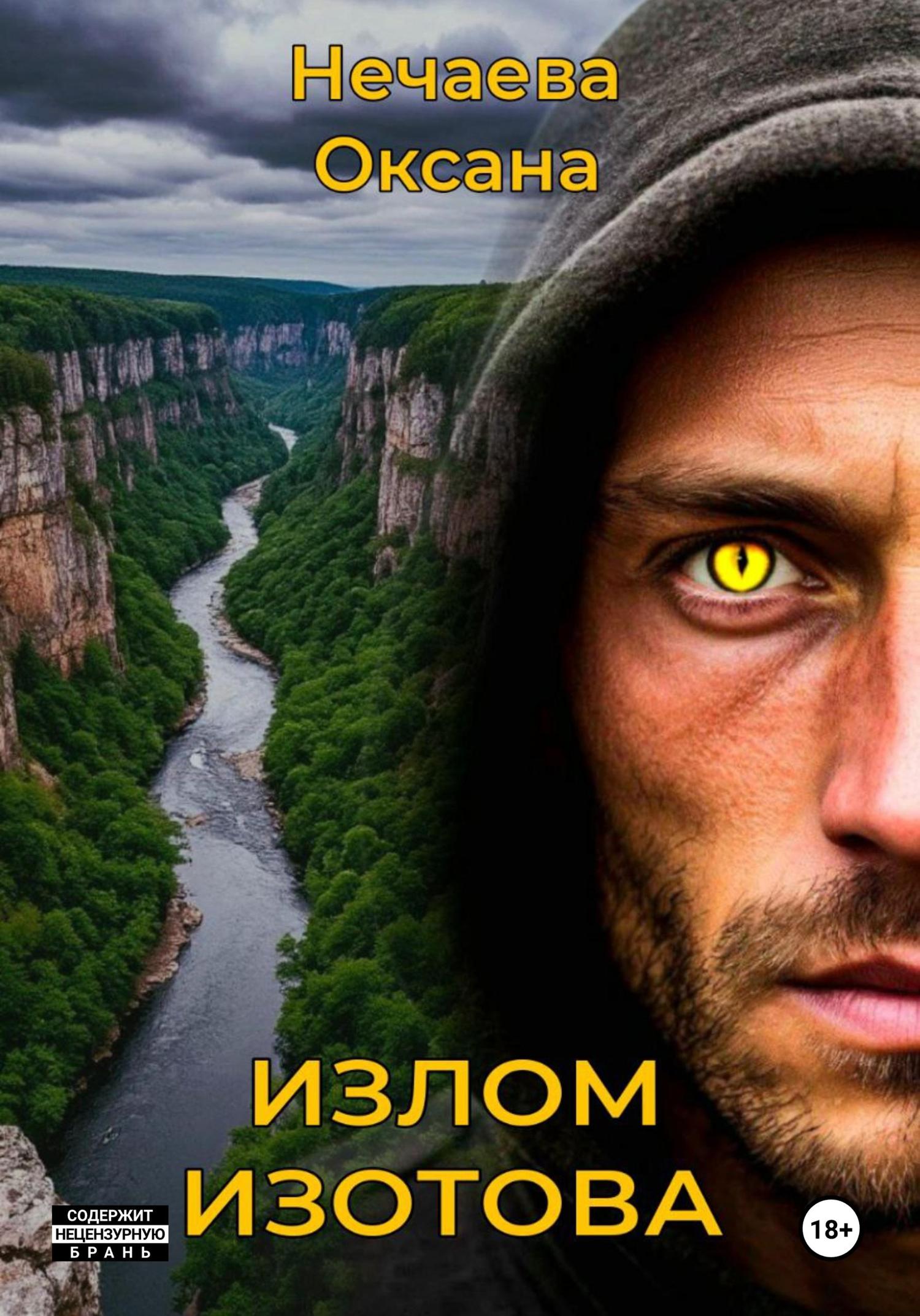 Обложка книги «Излом Изотова»