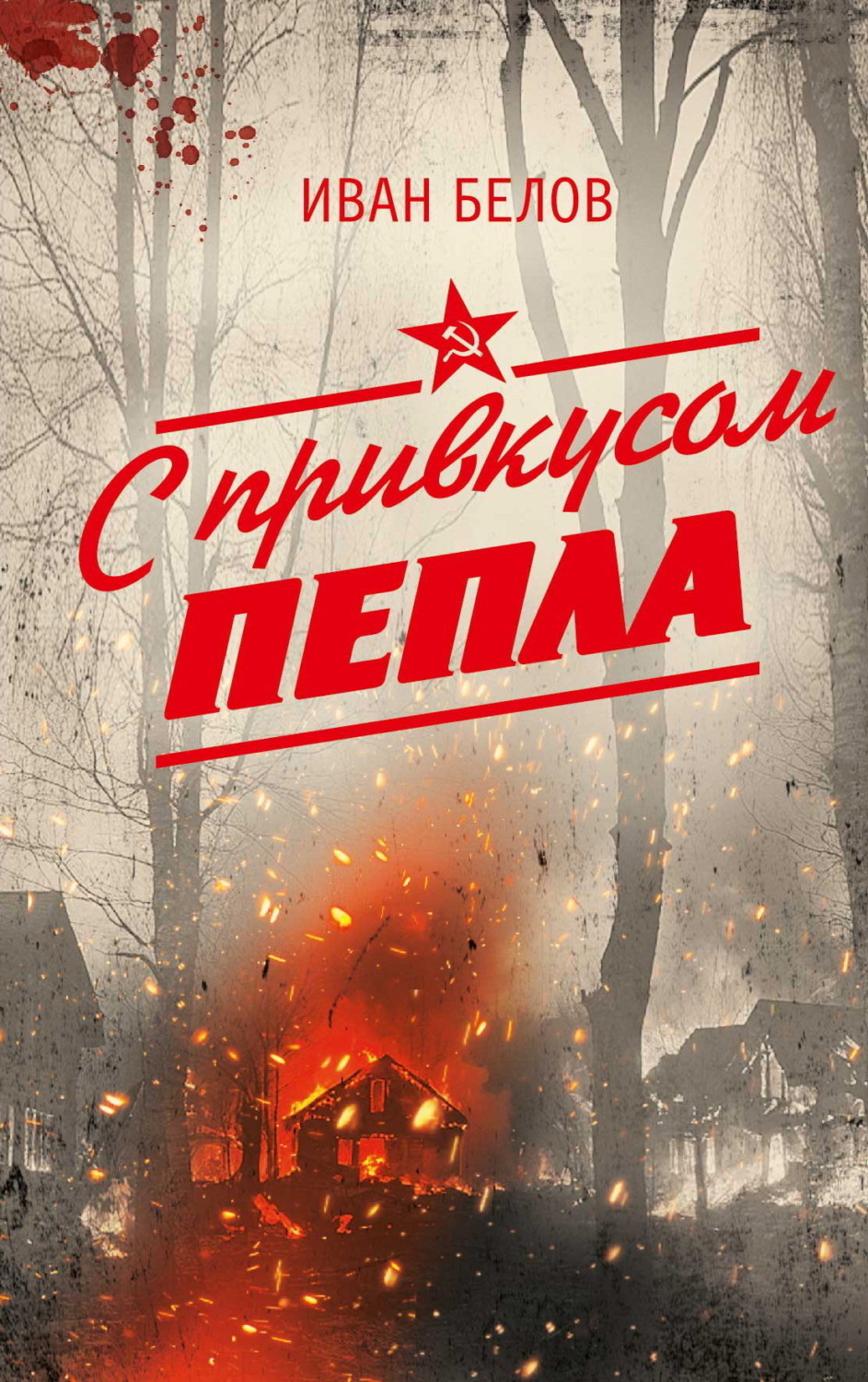 Обложка книги «С привкусом пепла»