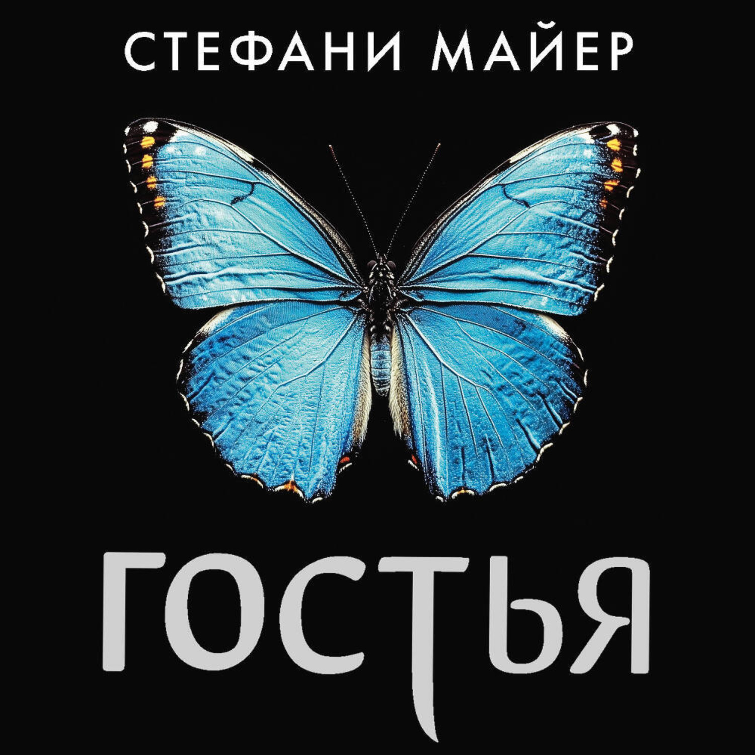 Обложка книги «Гостья»
