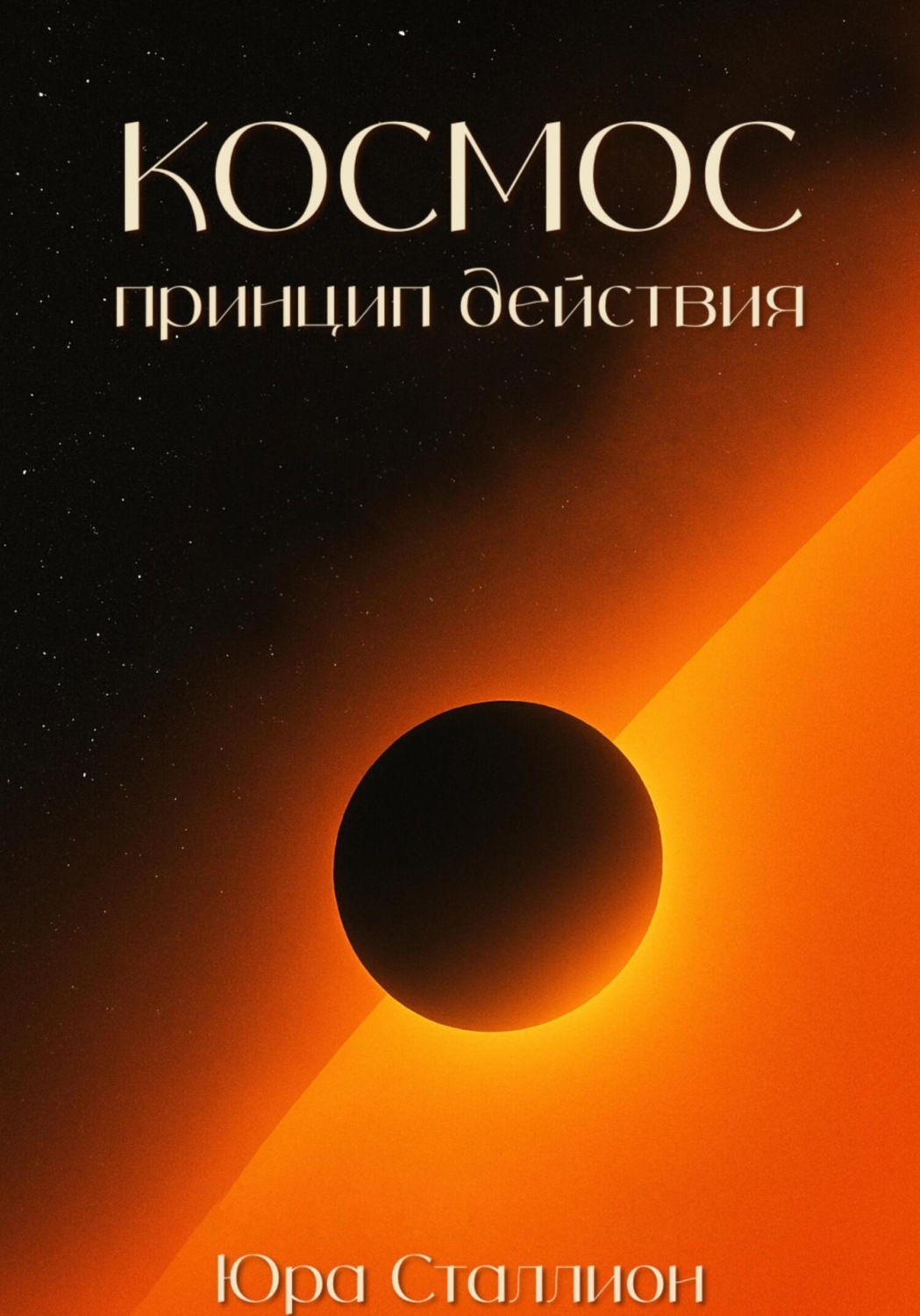 Обложка книги «Космос – принцип действия»