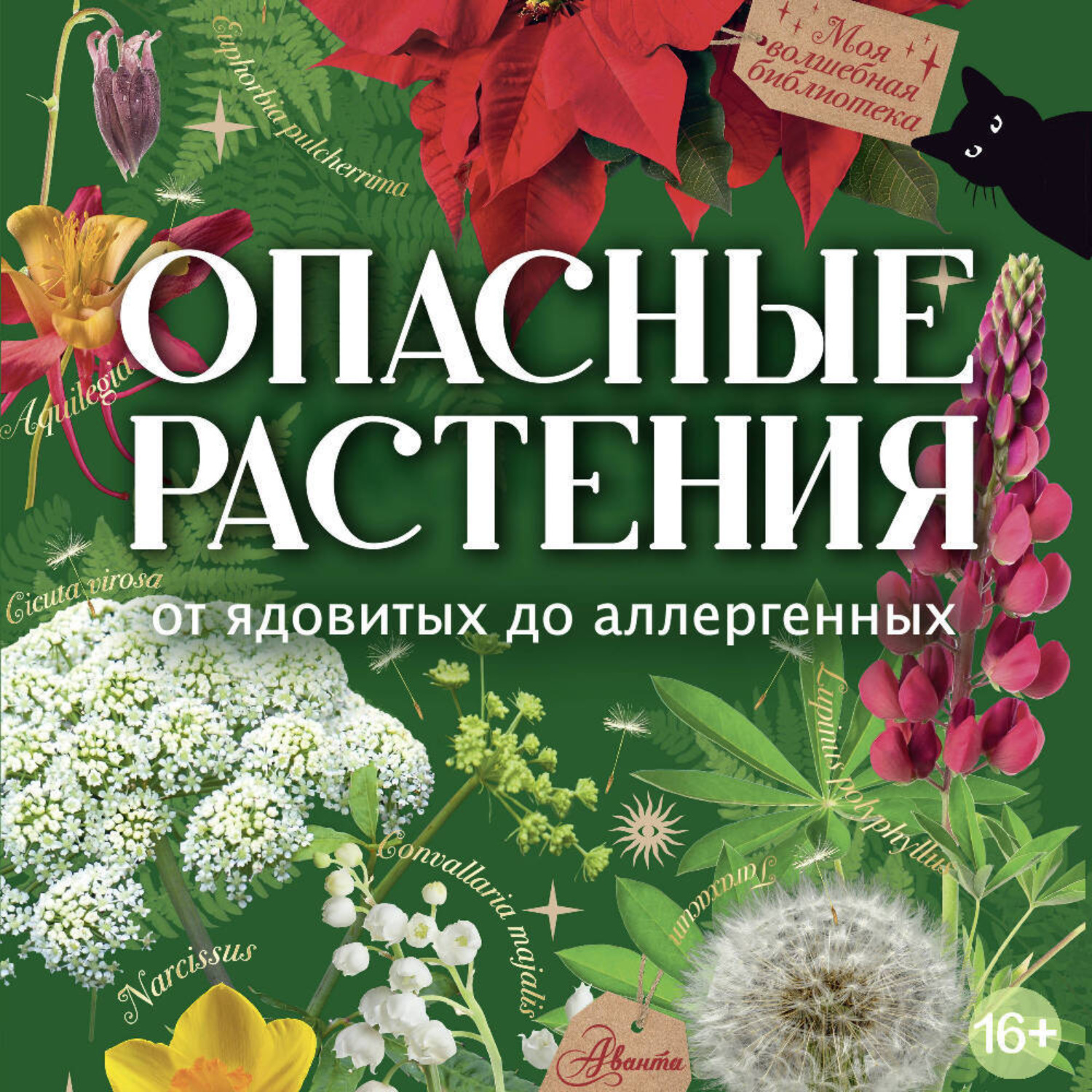Обложка книги «Опасные растения. От ядовитых до аллергенных»