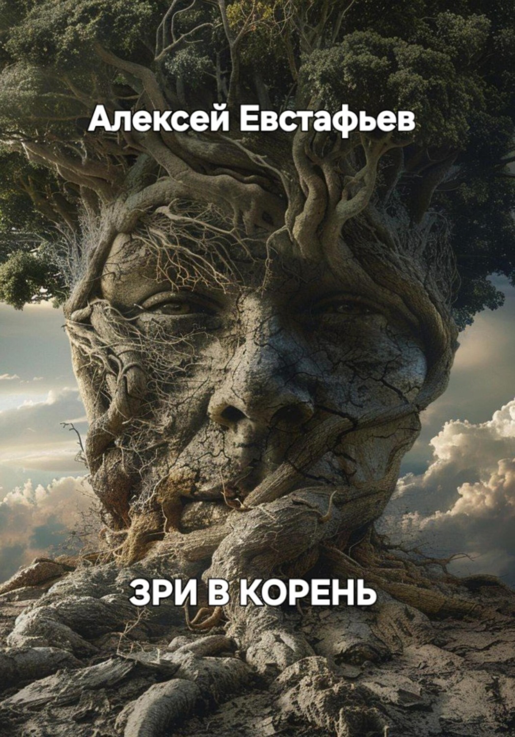 Обложка книги «Зри в корень»