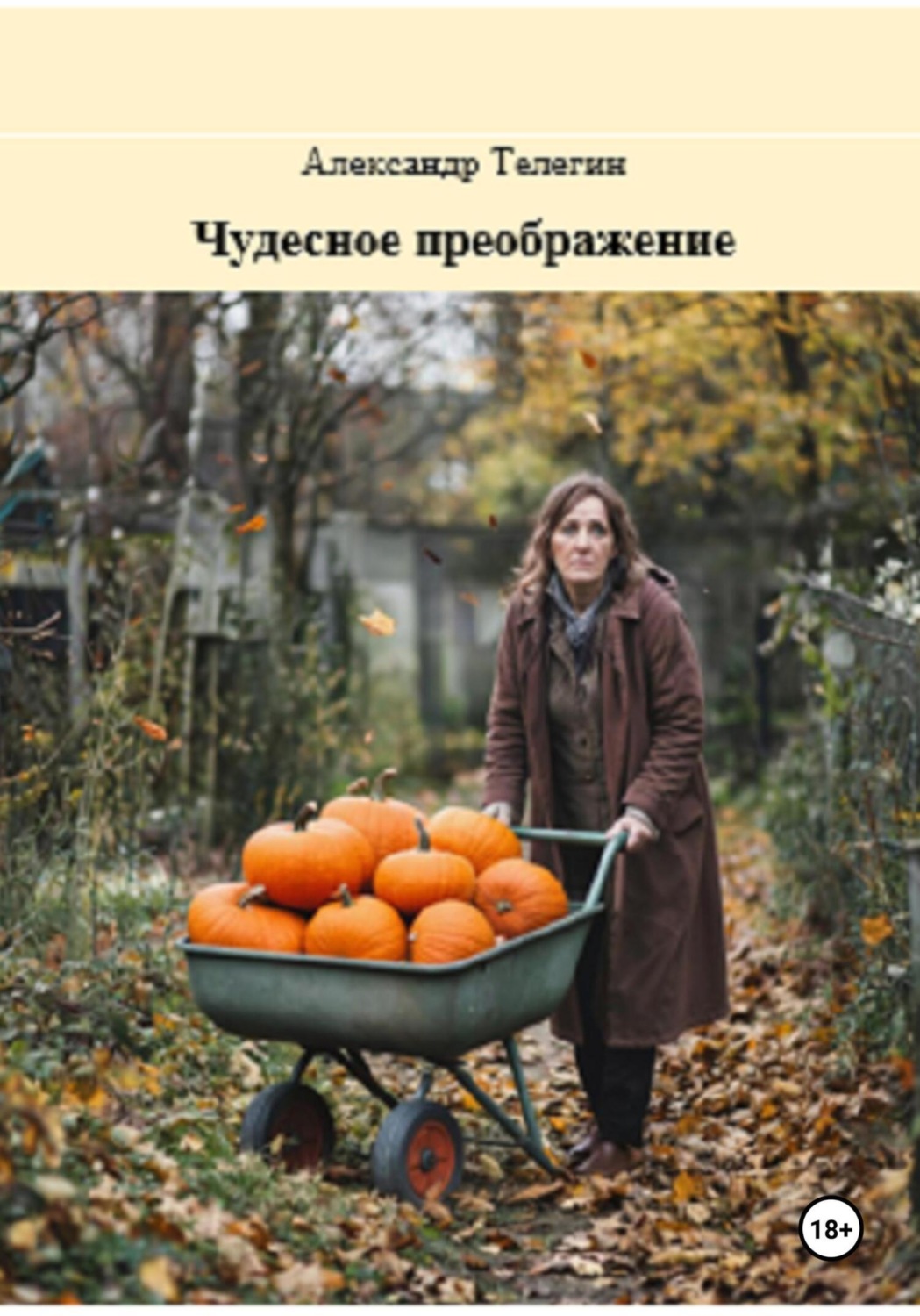 Обложка книги «Чудесное преображение»