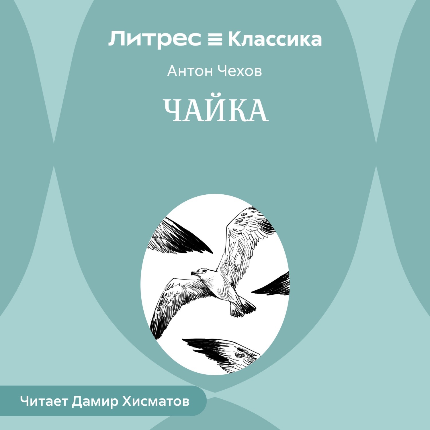 Обложка книги «Чайка»