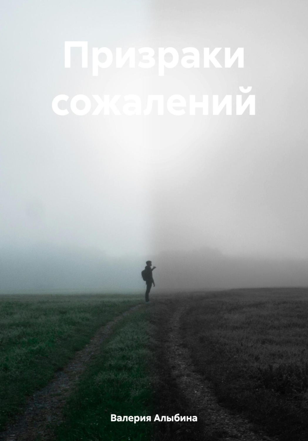 Обложка книги «Призраки сожалений»