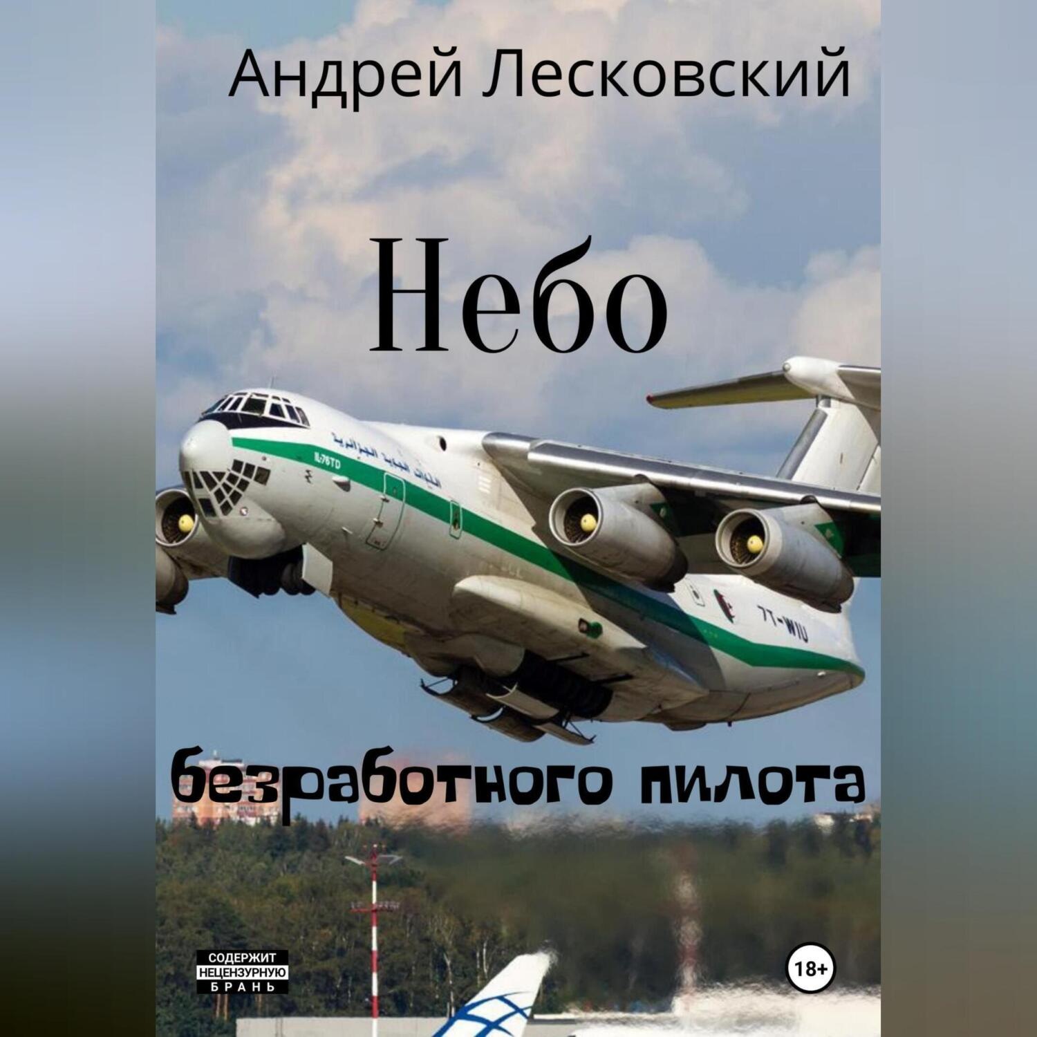 Обложка книги «Небо безработного пилота»