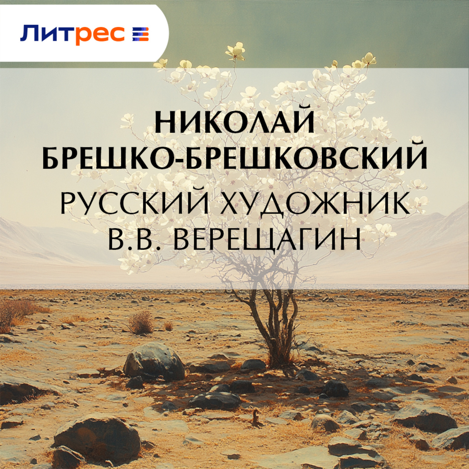 Обложка книги «Русский художник В.В. Верещагин»