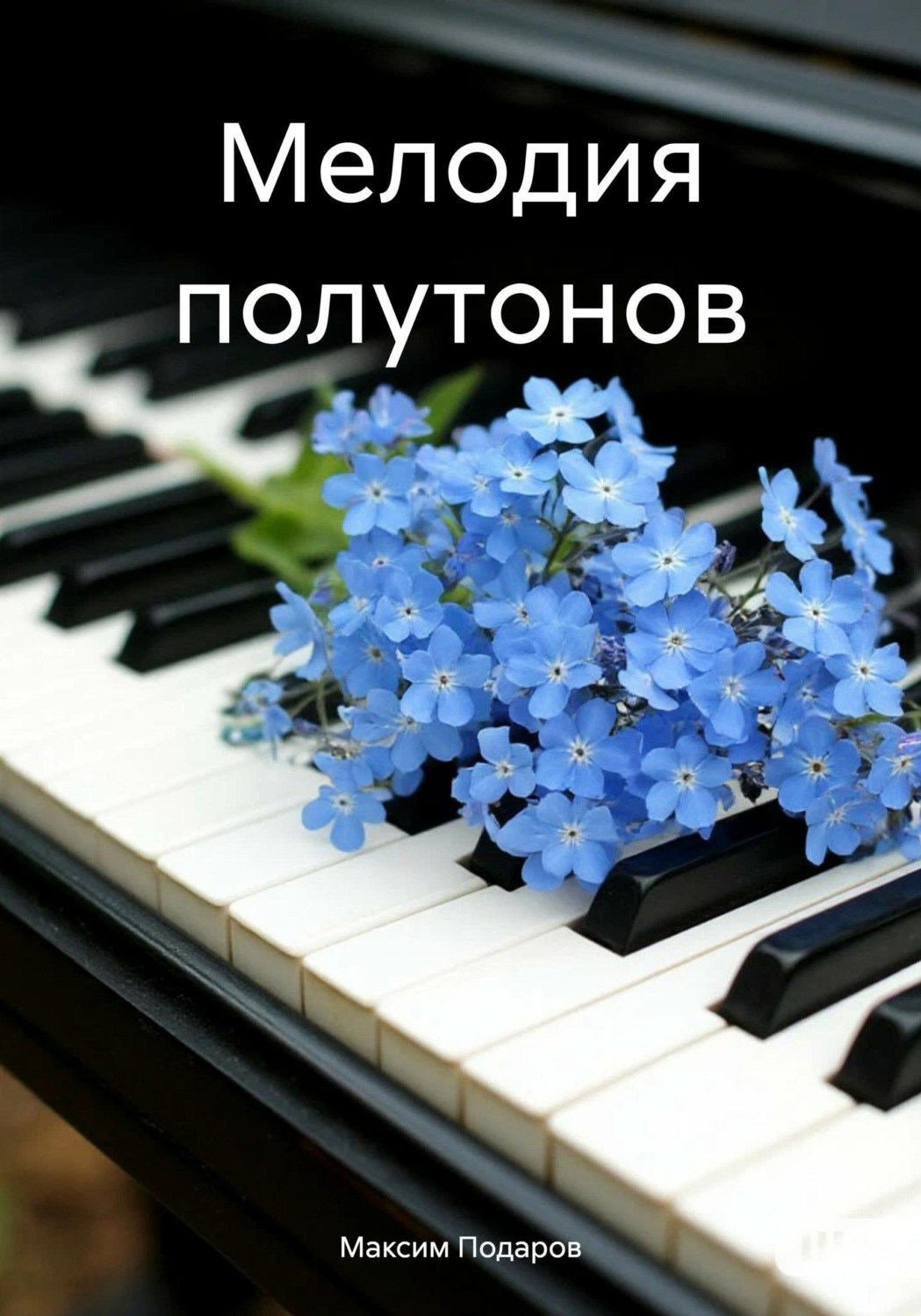 Обложка книги «Мелодия полутонов»
