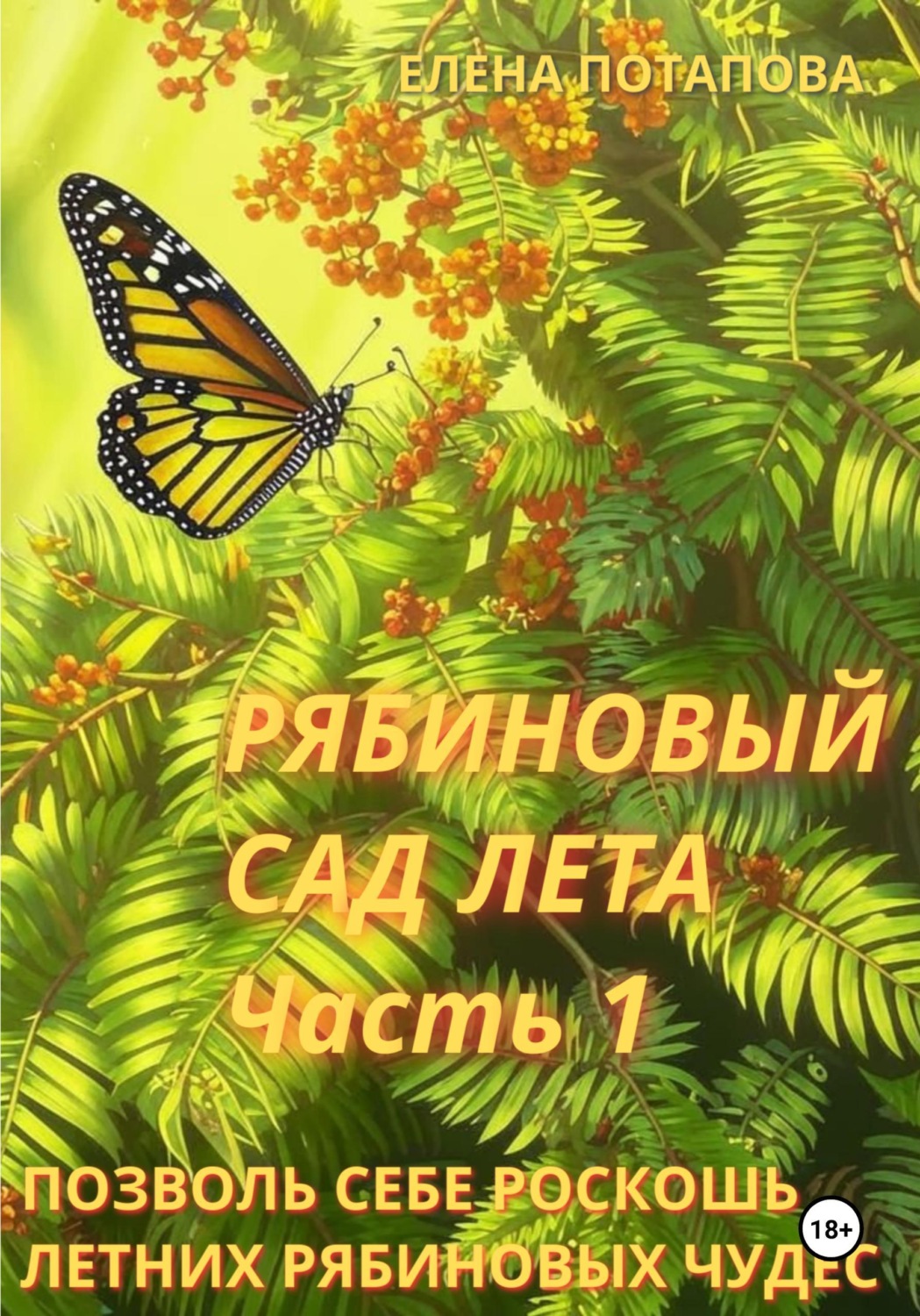 Обложка книги «Рябиновый сад лета. Часть 1. Практическое руководство для вдохновения и летних рябиновых чудес»