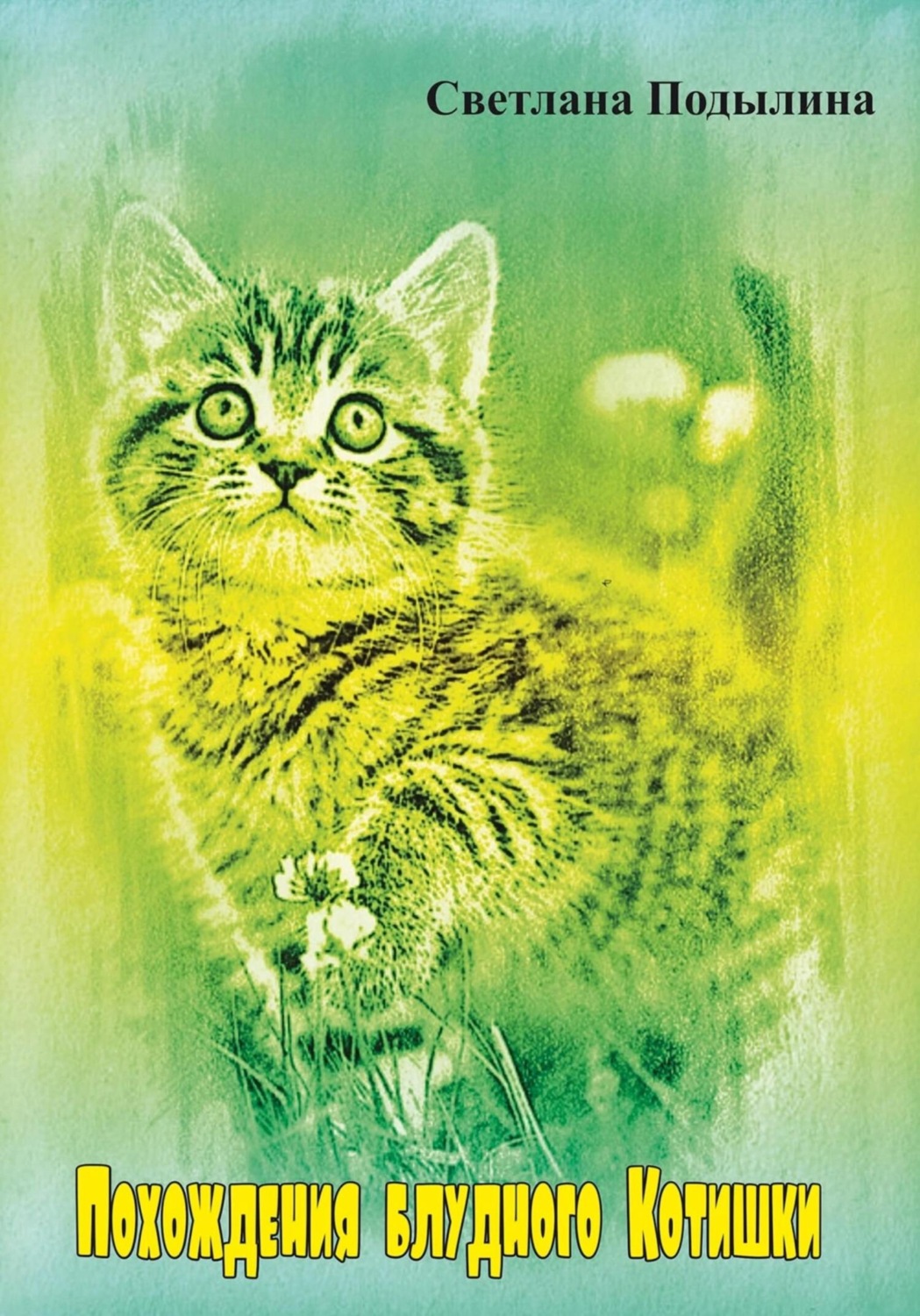 Обложка книги «Похождение блудного котишки»