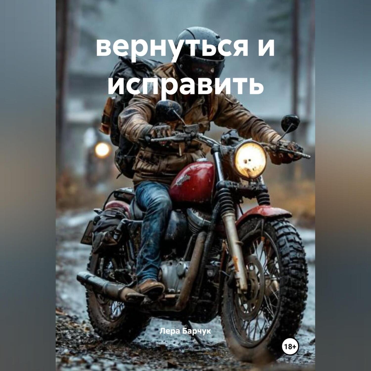 Обложка книги «вернуться и исправить»
