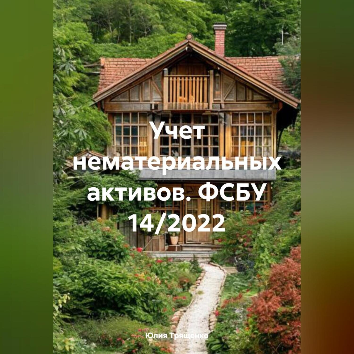 Обложка книги «Учет нематериальных активов. ФСБУ 14/2022»