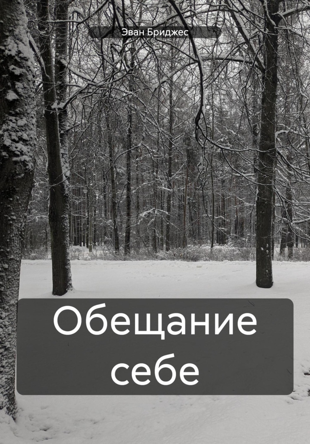 Обложка книги «Обещание себе»