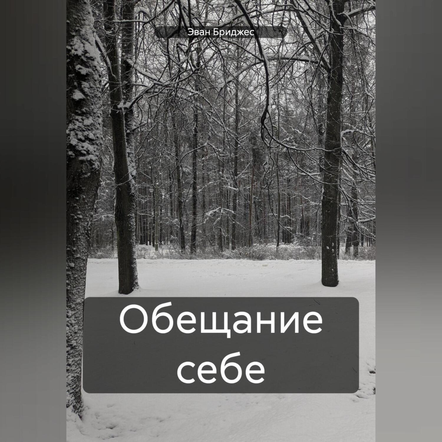 Обложка книги «Обещание себе»