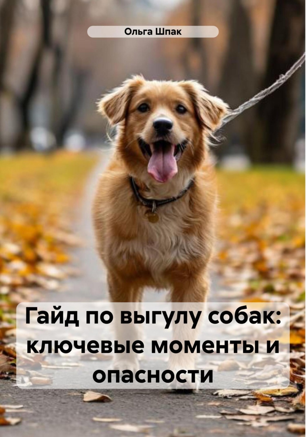 Обложка книги «Гайд по выгулу собак: ключевые моменты и опасности»