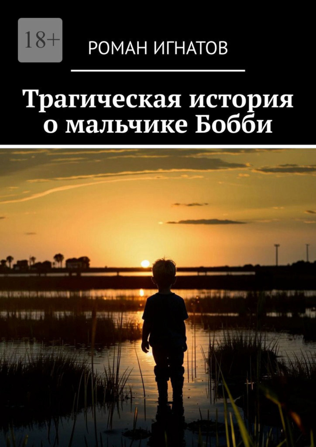Обложка книги «Трагическая история о мальчике Бобби»