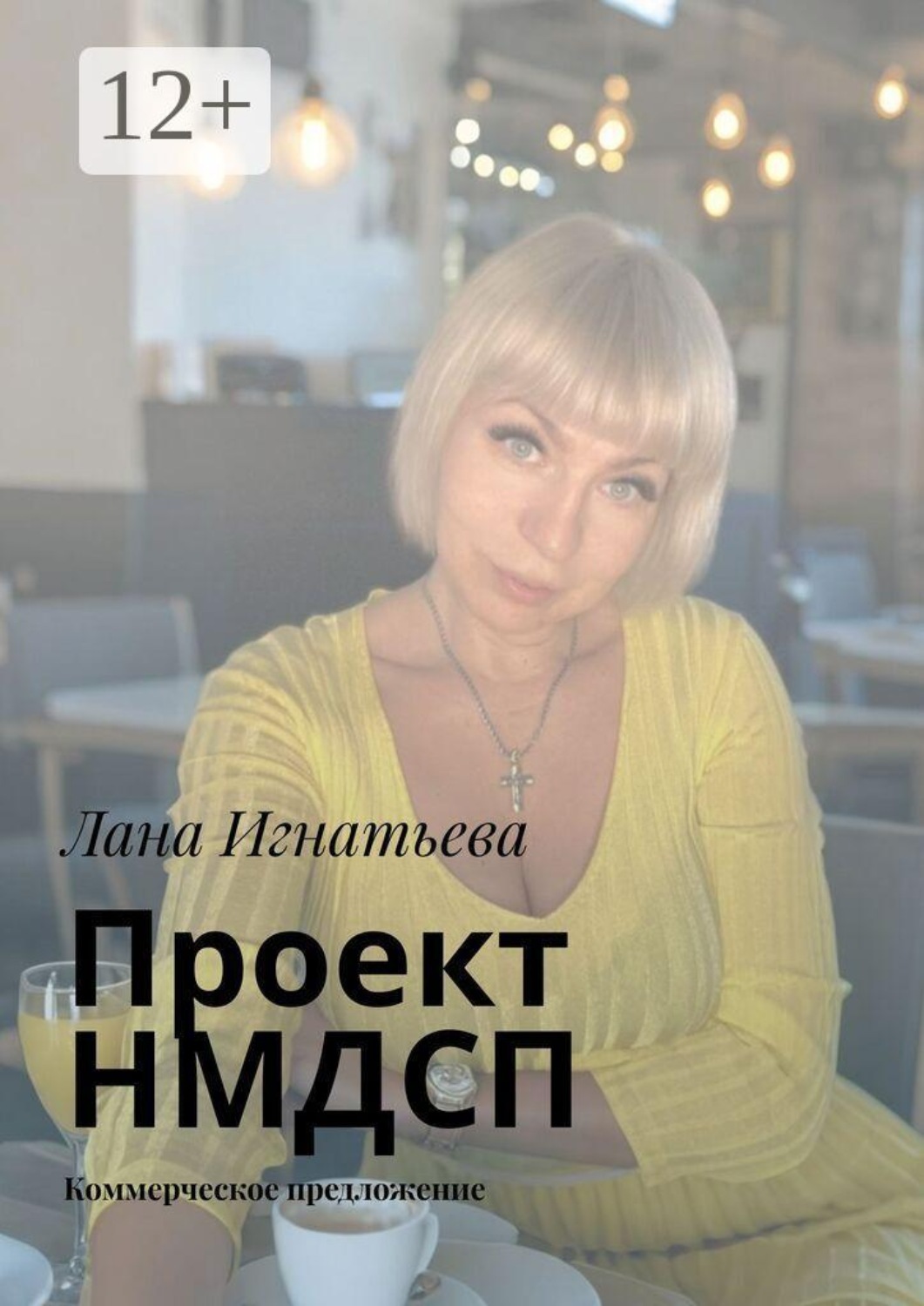Обложка книги «Проект НМДСП. Коммерческое предложение»
