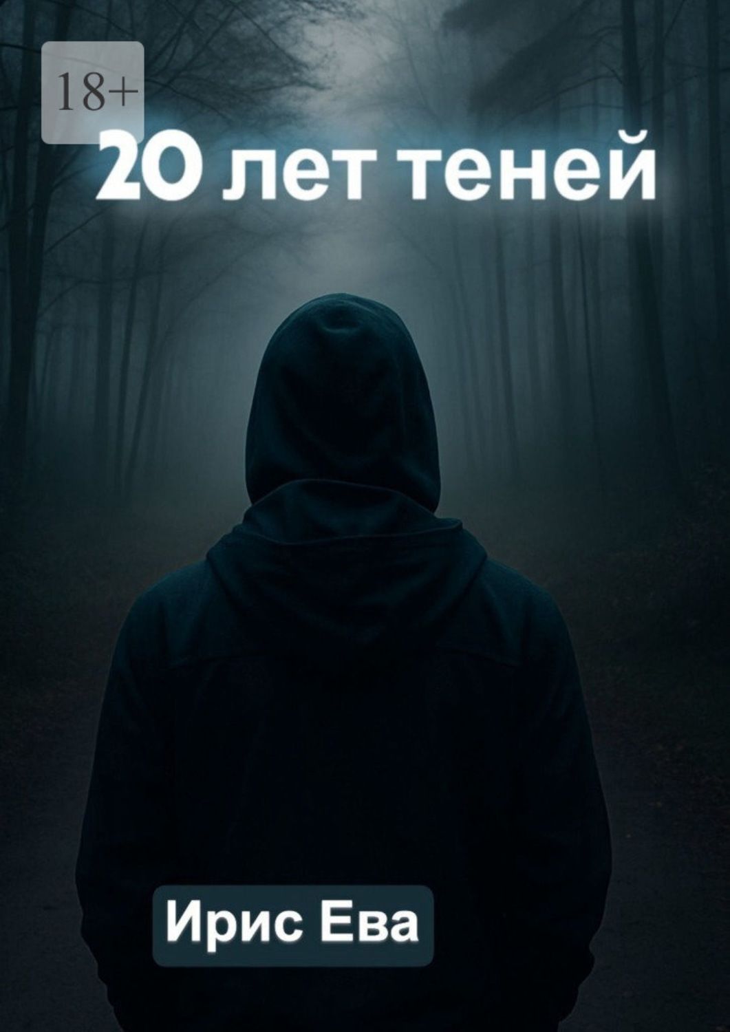 Обложка книги «20 лет теней»