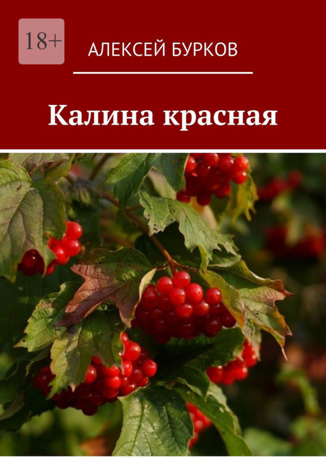 Обложка книги «Калина красная»