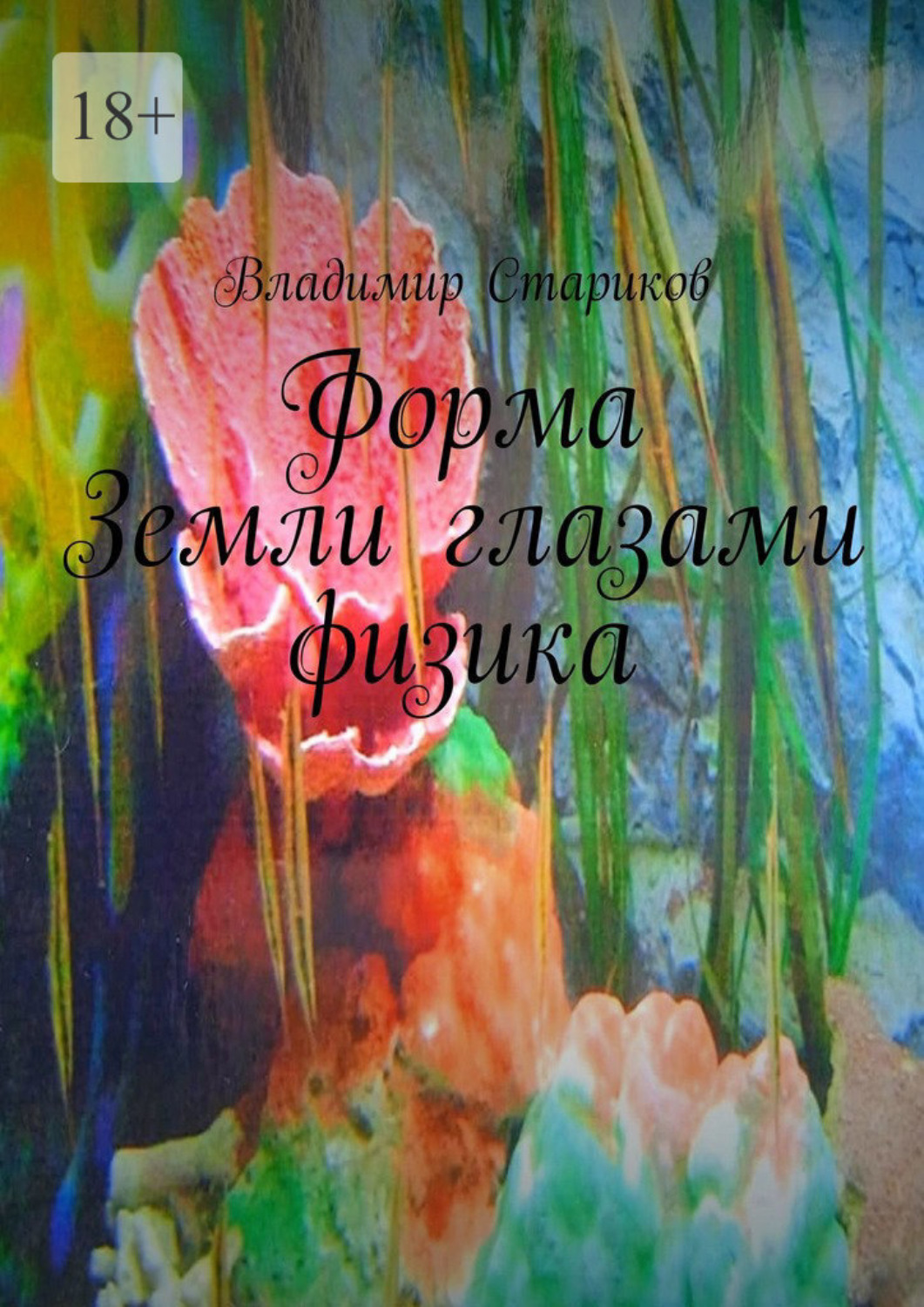 Обложка книги «Форма Земли глазами физика»