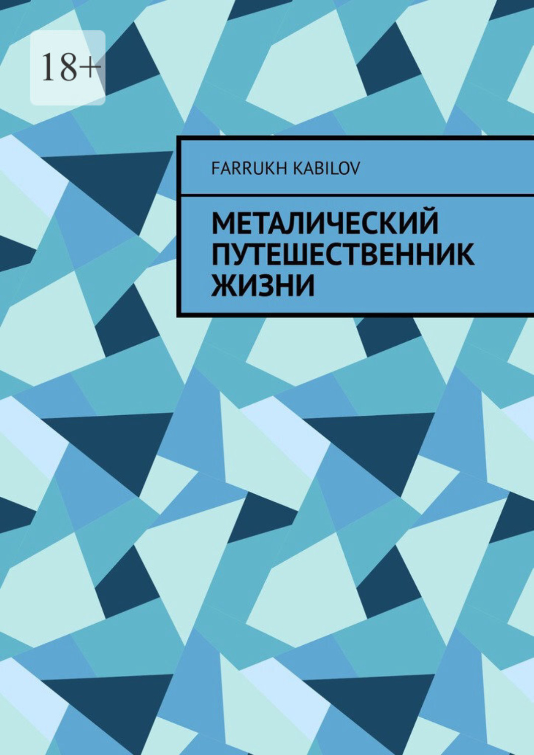 Обложка книги «Металический путешественник жизни»