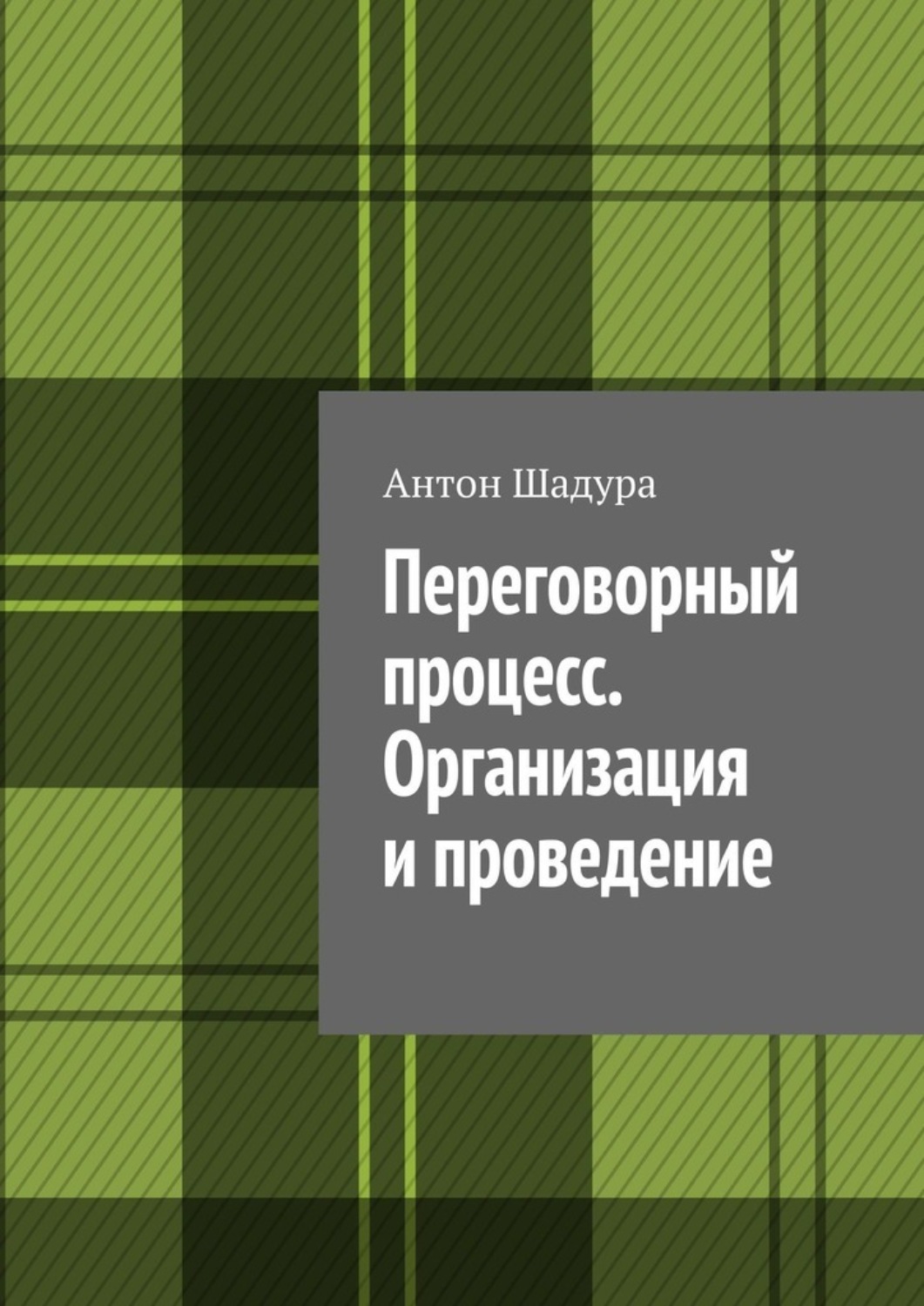 Обложка книги «Переговорный процесс. Организация и проведение»