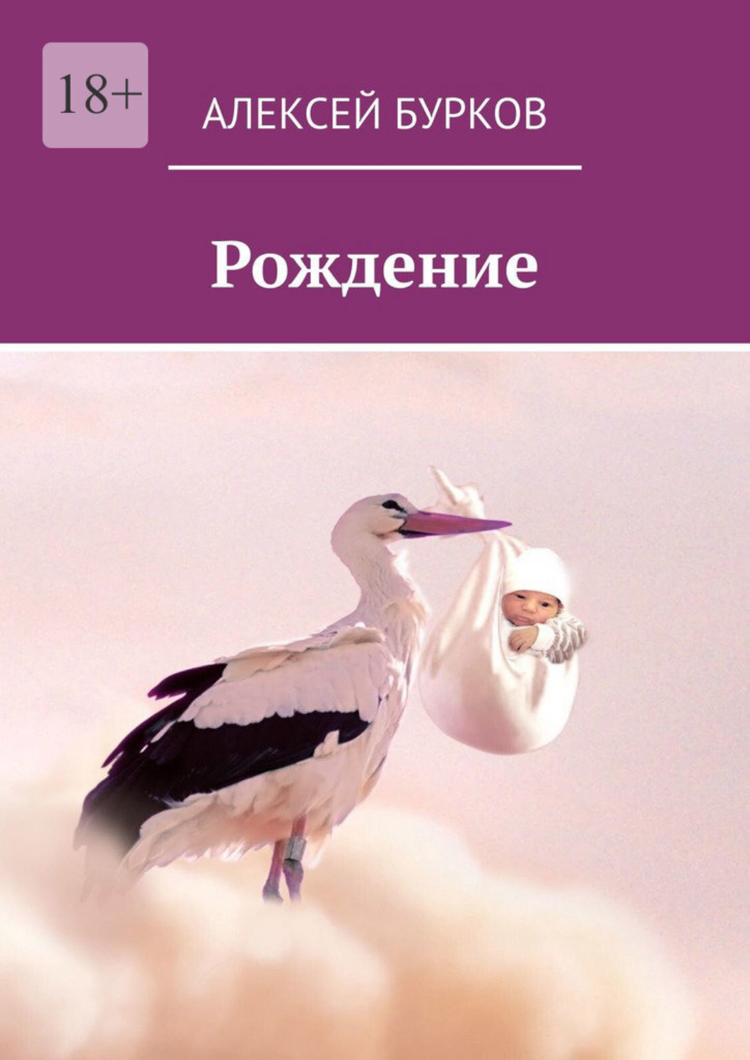 Обложка книги «Рождение»