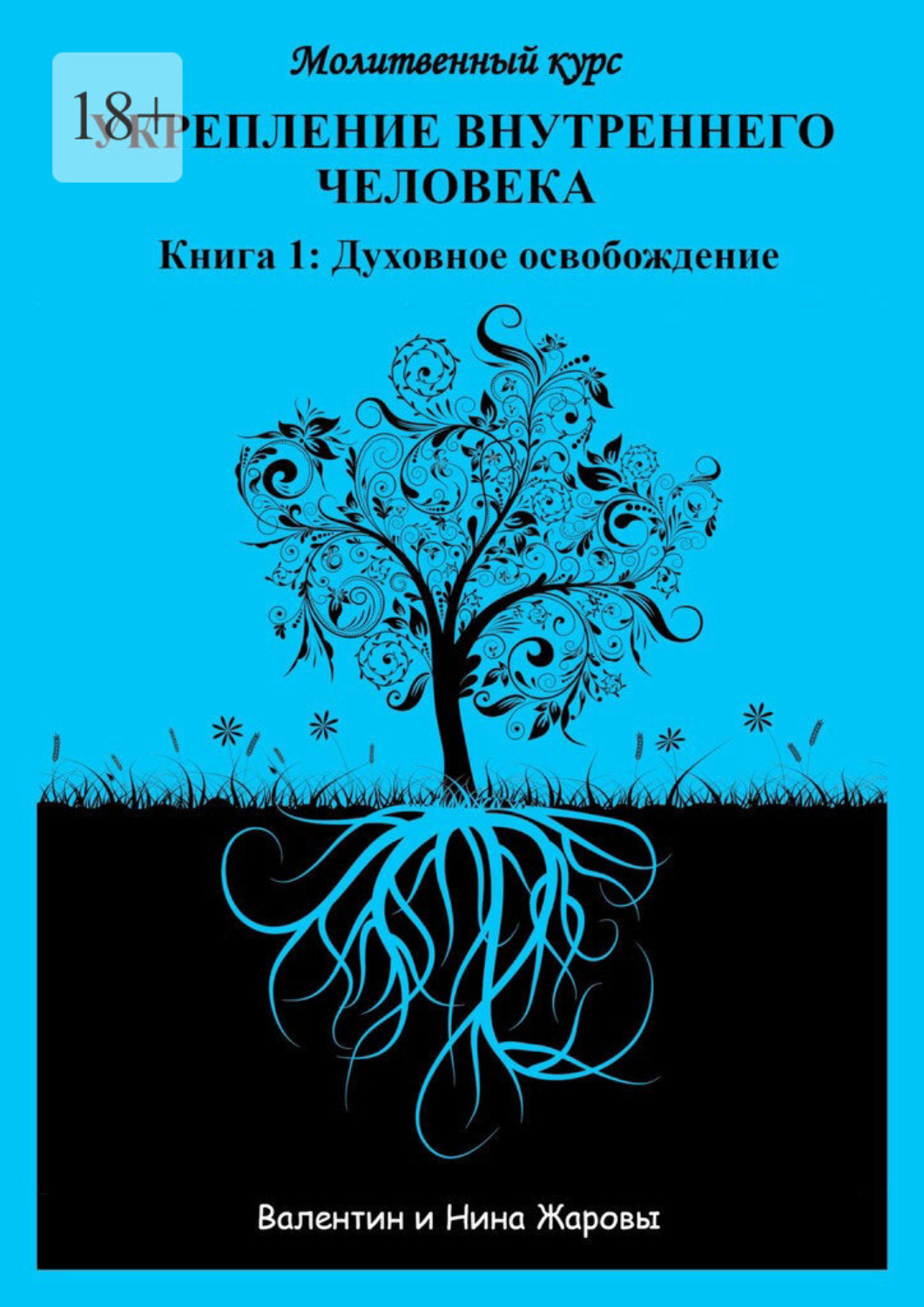 Обложка книги «Укрепление внутреннего человека. Молитвенный курс. Книга 1: Духовное освобождение»
