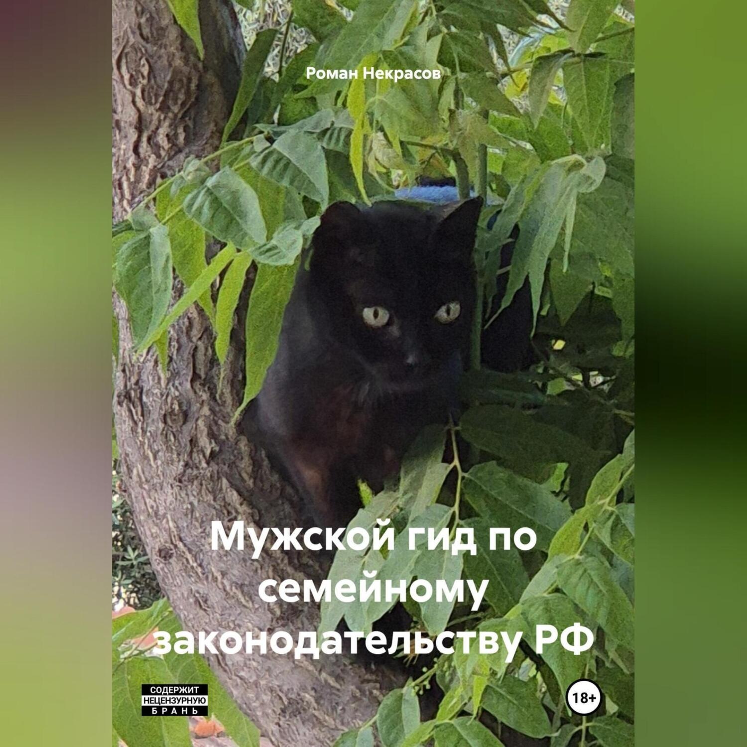 Обложка книги «Мужской гид по семейному законодательству»