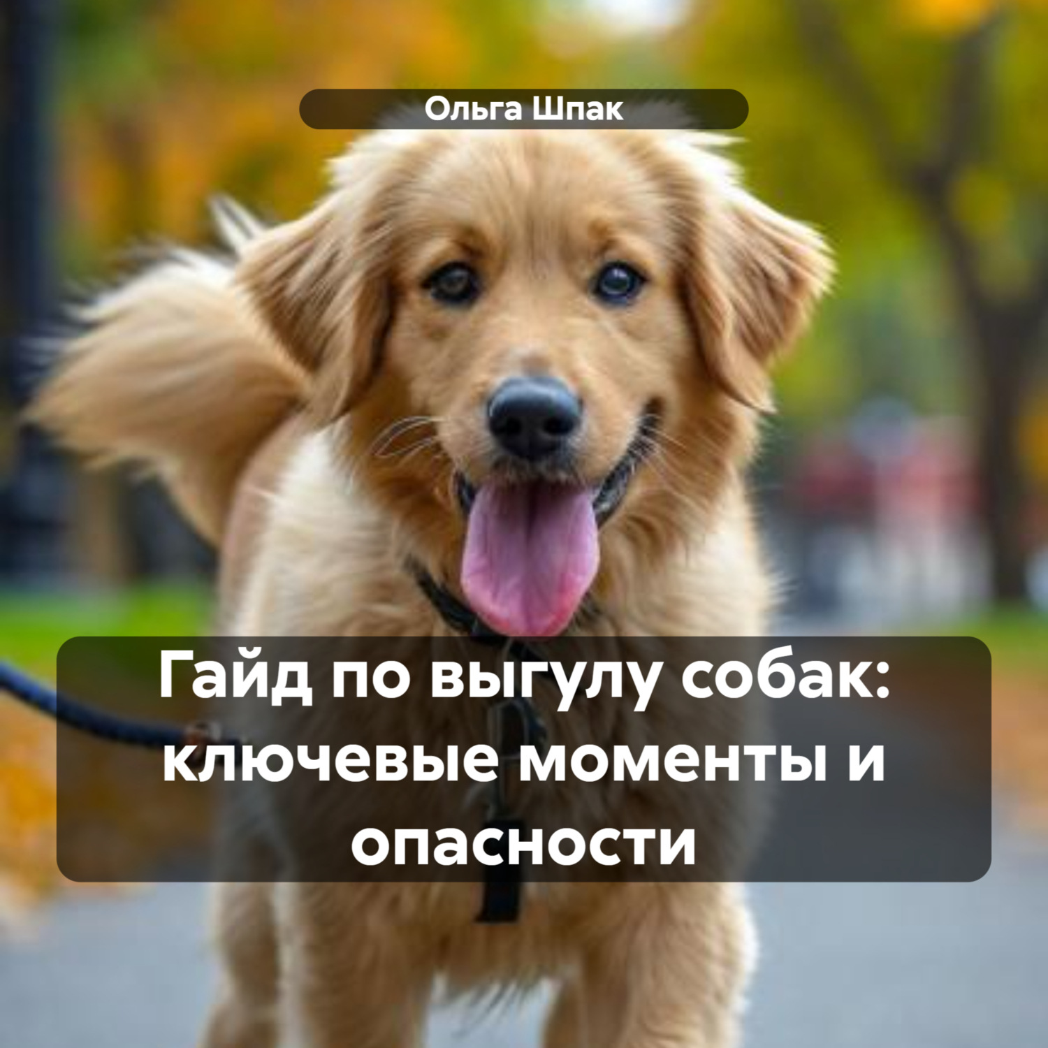 Обложка книги «Гайд по выгулу собак: ключевые моменты и опасности»