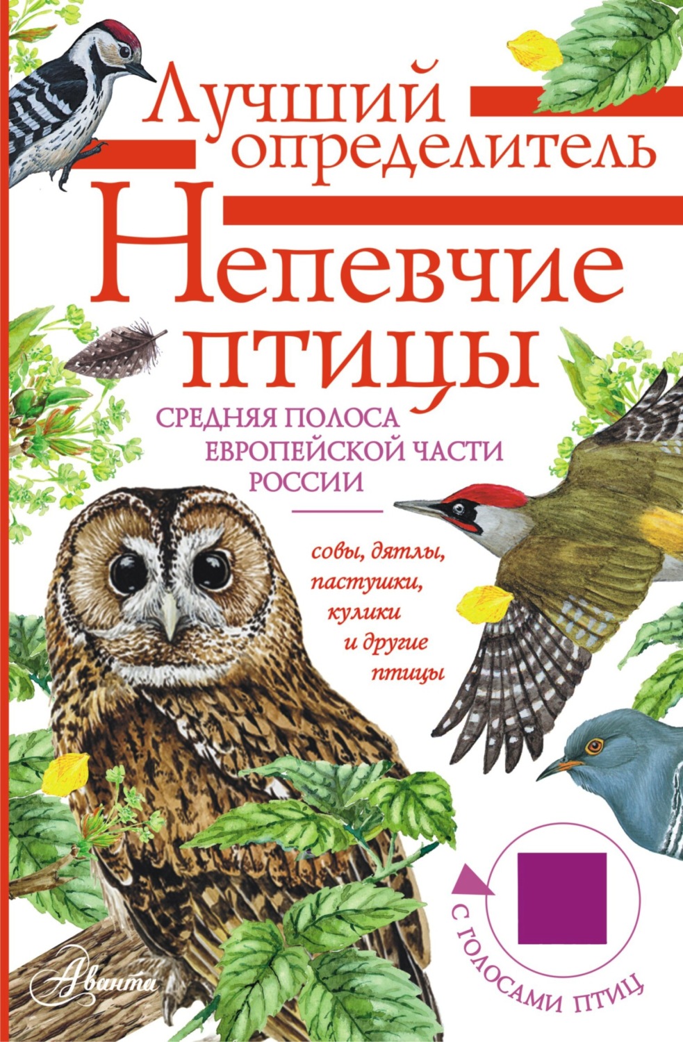 Обложка книги «Непевчие птицы. Средняя полоса европейской части России. Определитель с голосами птиц»